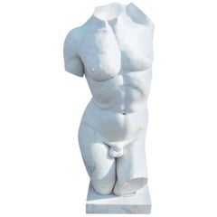 Large Sculpted Male Torso Marble Statue