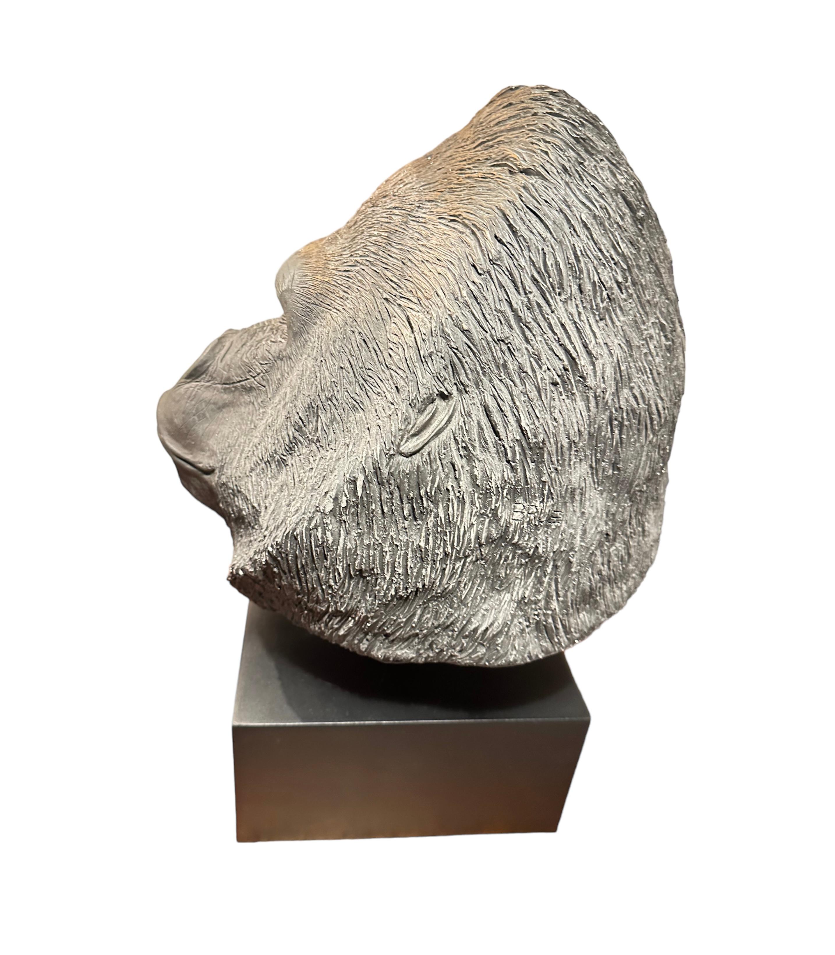 silverback head