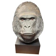  Large Sculpted Sandicast Silverback Gorilla Head Atributted Sandra Brue