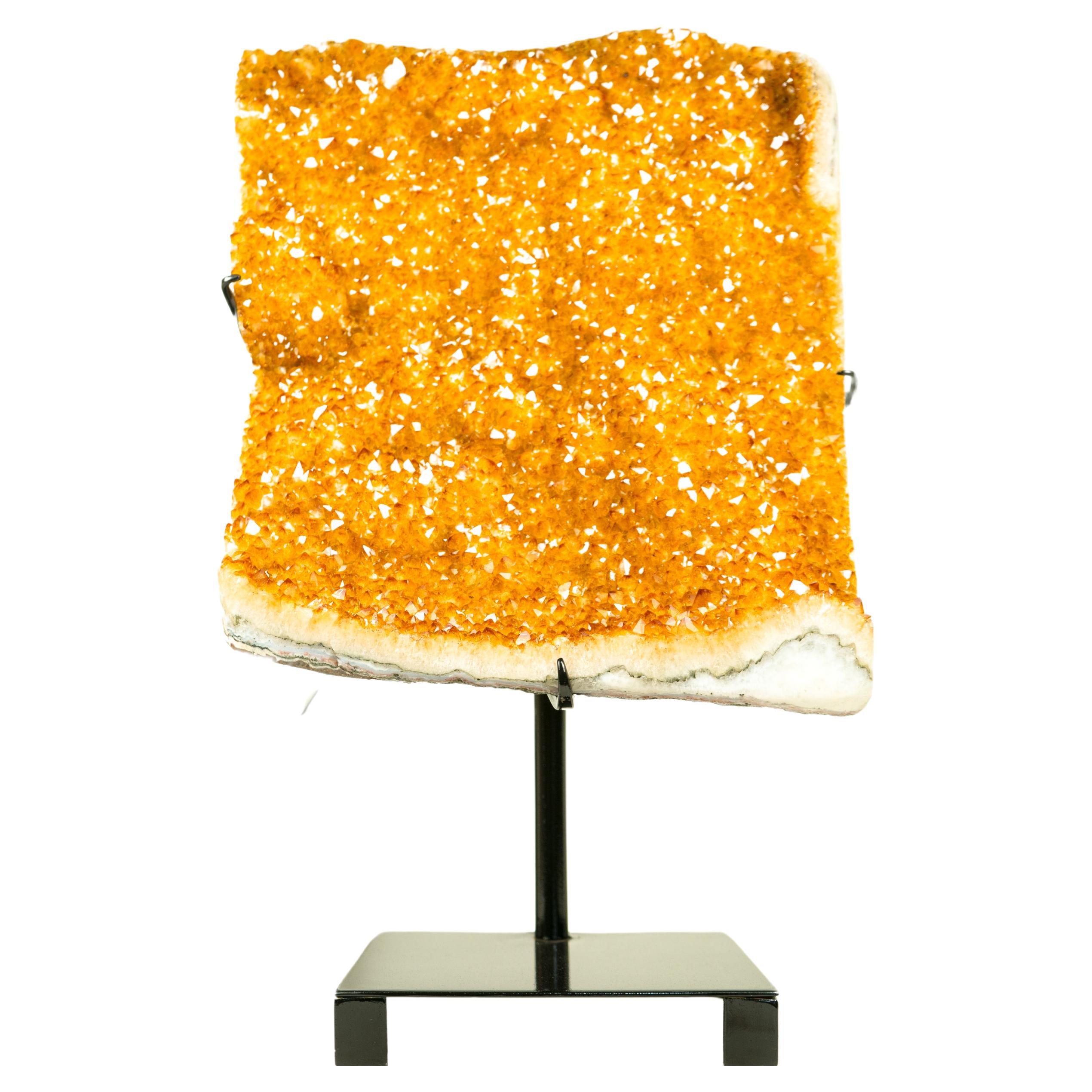Large Sculptural Orange-Citrine Cluster with Dazzling Golden Orange Citrine Druzy

▫️ Description

Gorgeously sculpted by Nature, this large specimen of citrine is a natural beauty. It formed in an elegant shape that is fully covered by the shiny