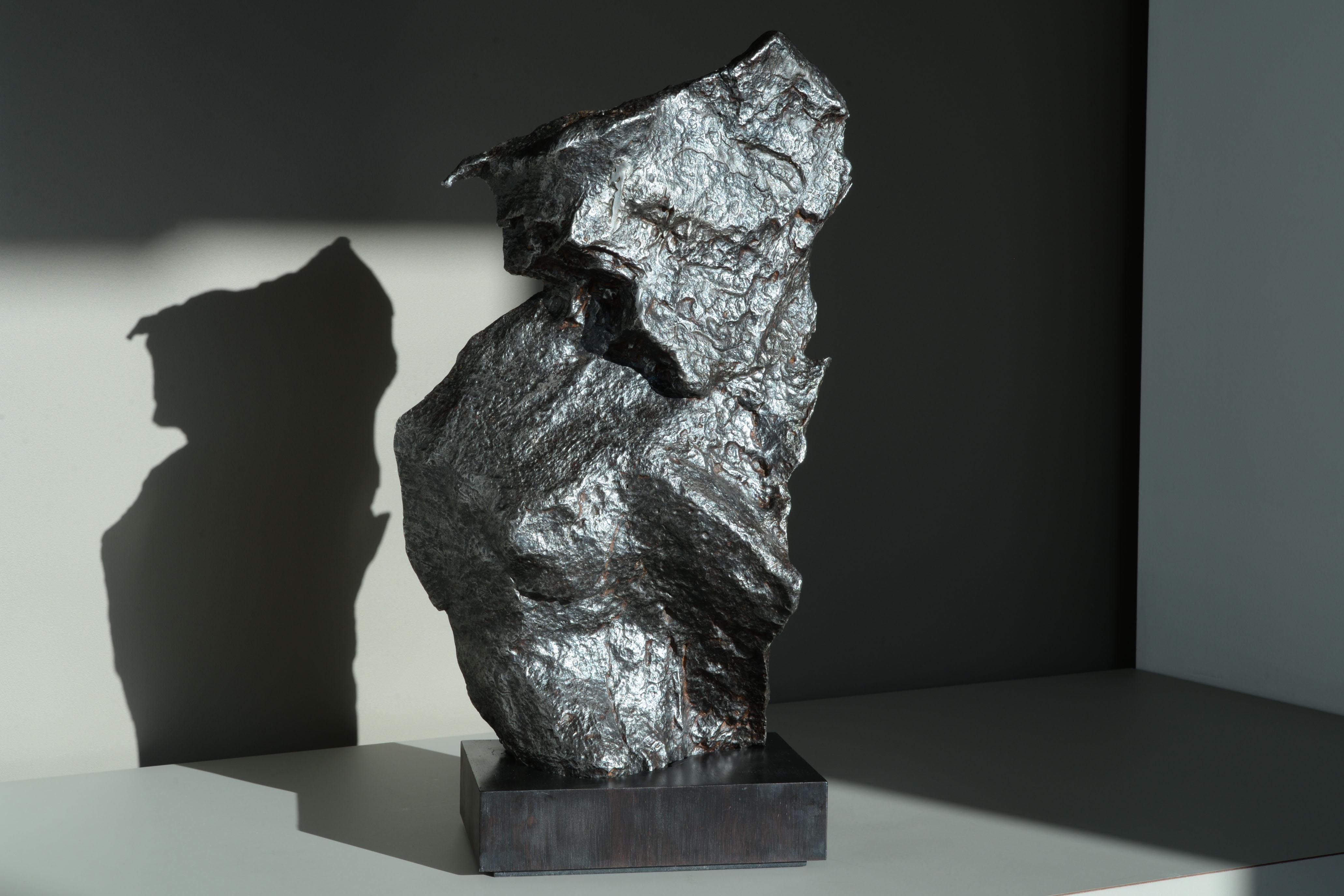 Large Sculptural Iron Meteorite For Sale 6