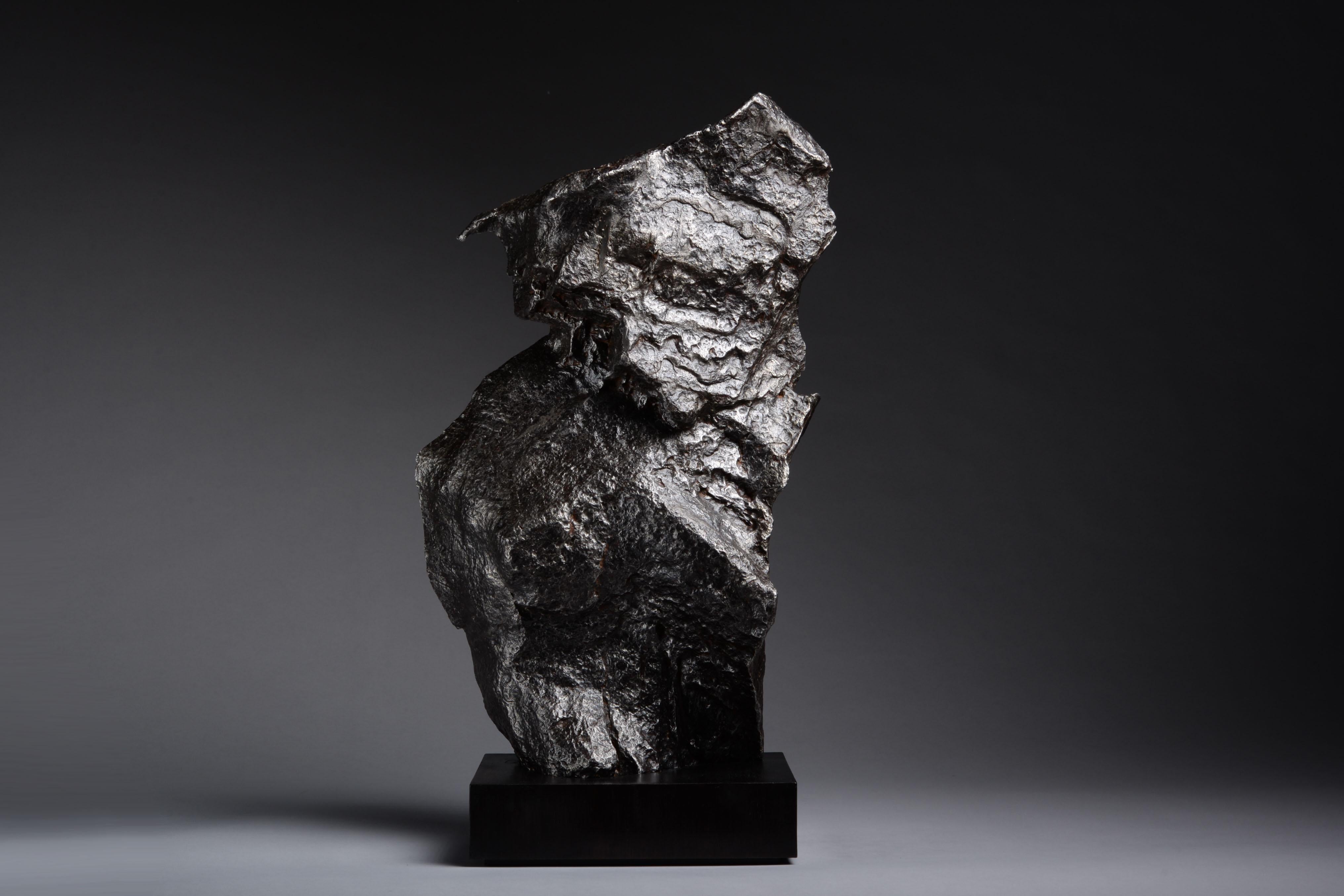 18th Century and Earlier Large Sculptural Iron Meteorite For Sale