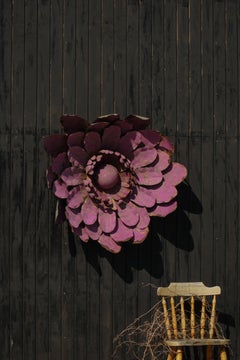 Large Sculptural Metal Flower Wall Decoration, Belgium, Mid 20th Century, 1960s