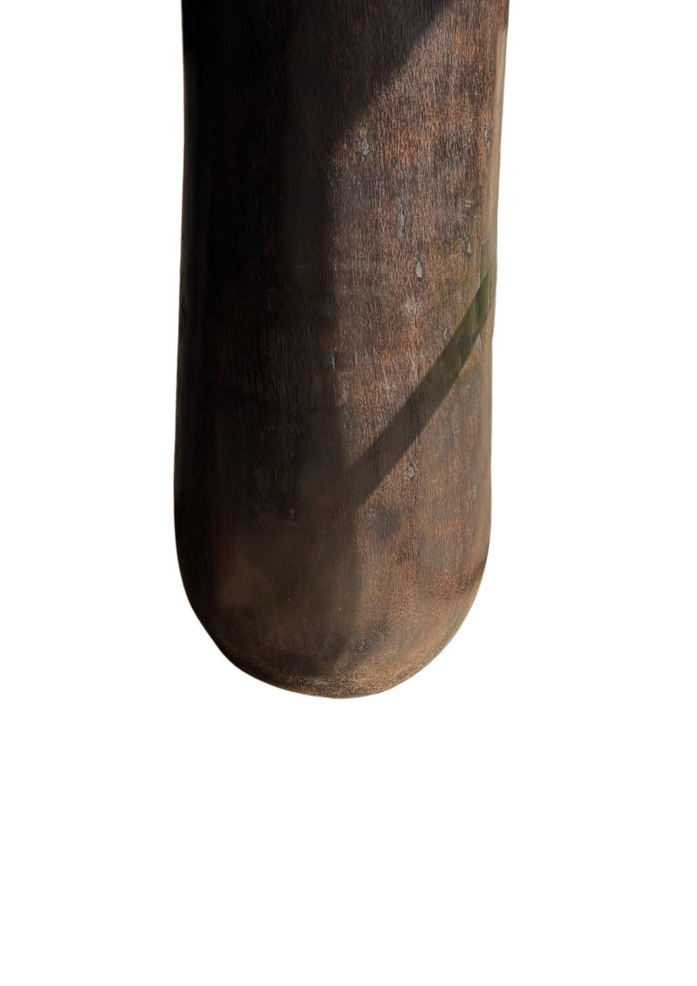 Großes skulpturales Palmenholz-Pflanzgefäß, modern und organisch mit atemberaubenden Holztexturen im Angebot 1