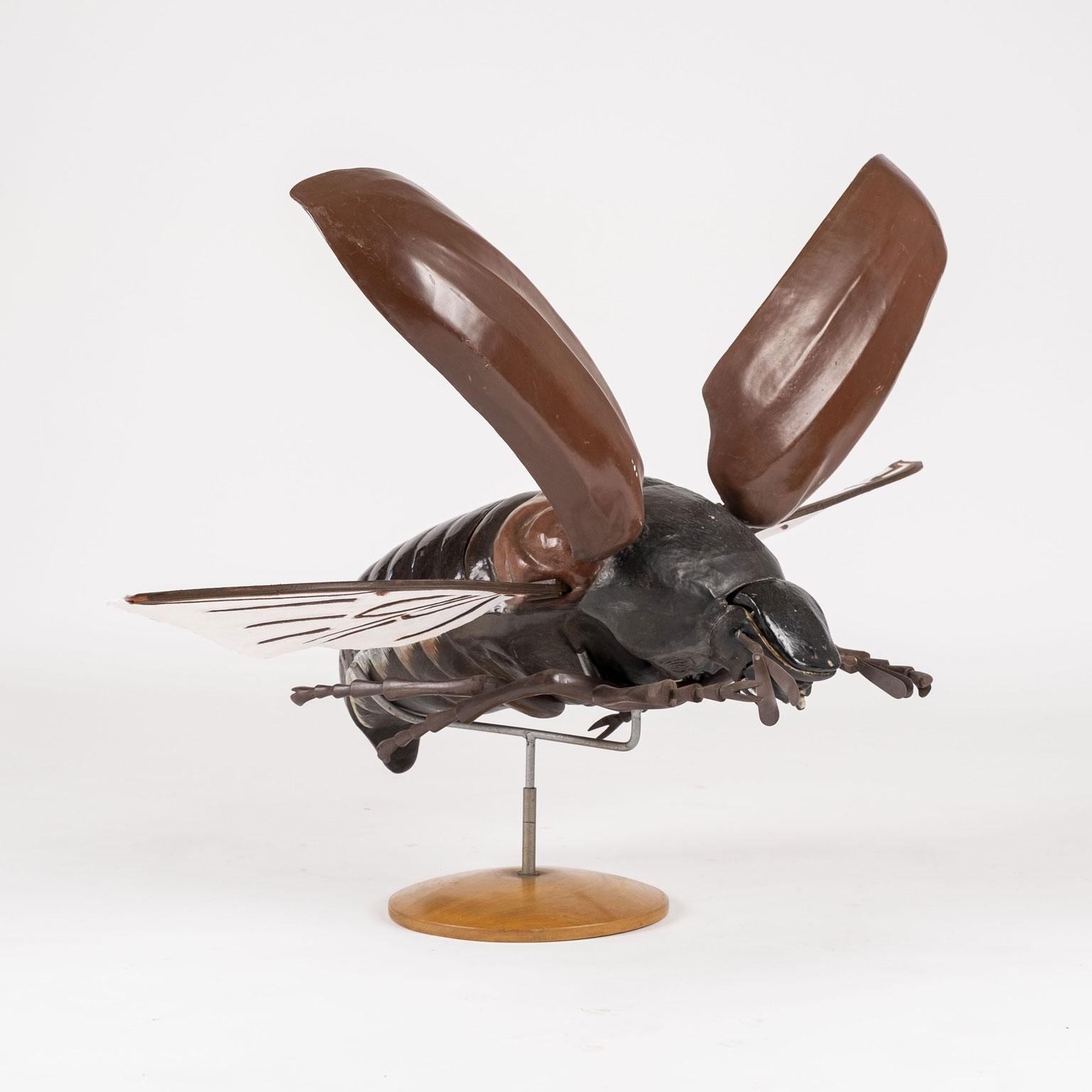 Other Large Sculpture of Beetle in Flight For Sale