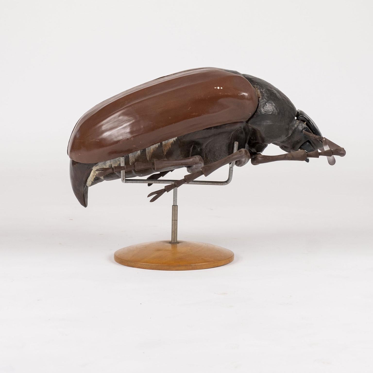 Cast Large Sculpture of Beetle in Flight For Sale