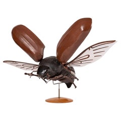 Large Sculpture of Beetle in Flight
