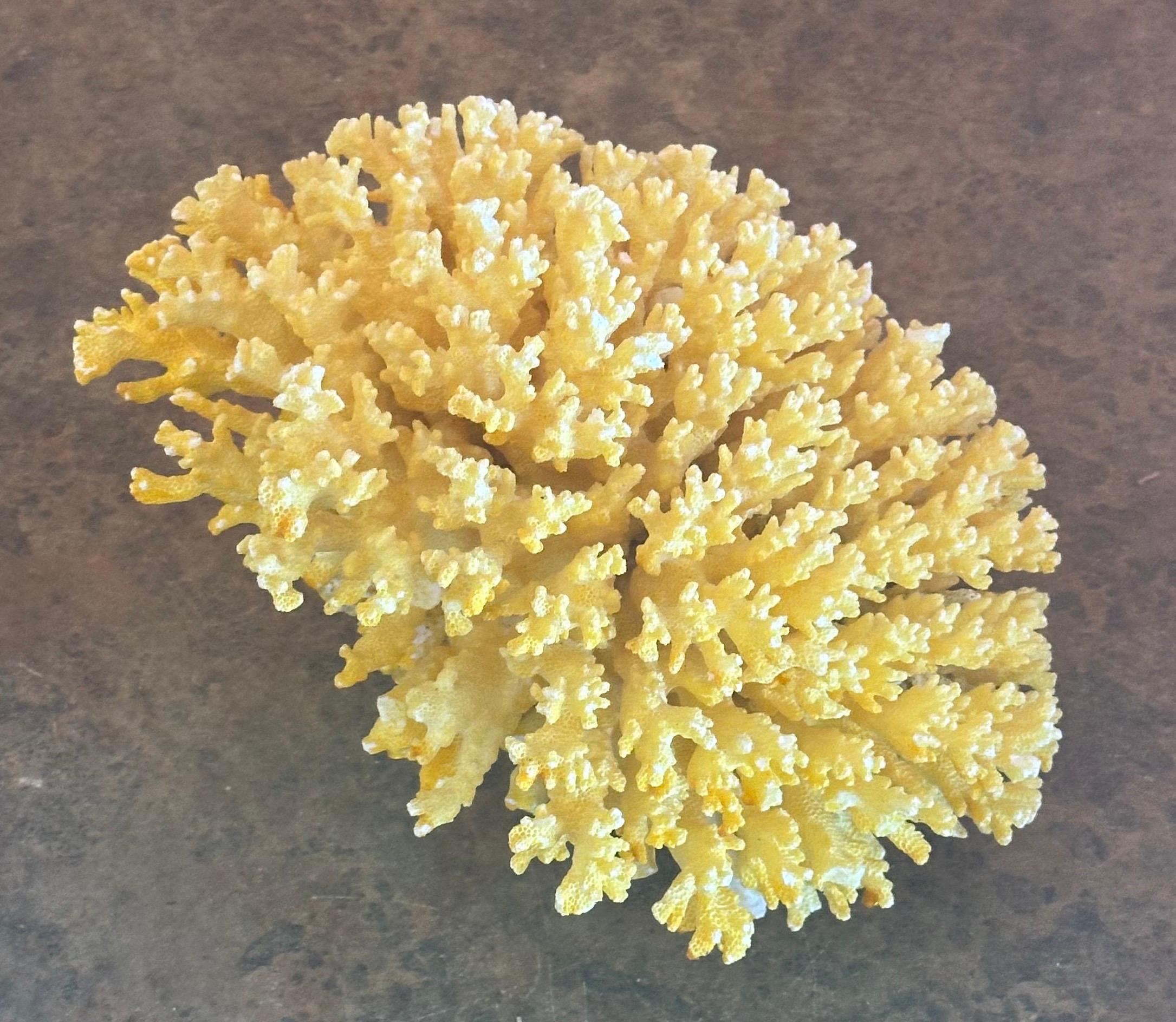 Hollywood Regency Large Sea Coral Specimen For Sale