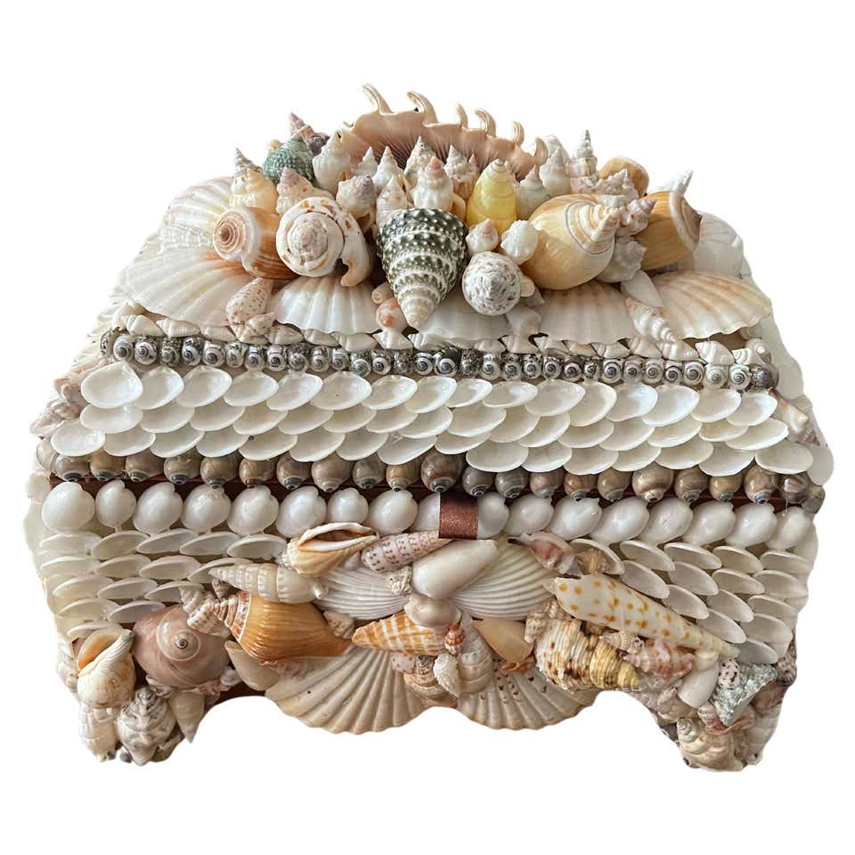 Organic Modern White Sea Shells Treasure Jewelry Box For Sale at 1stDibs