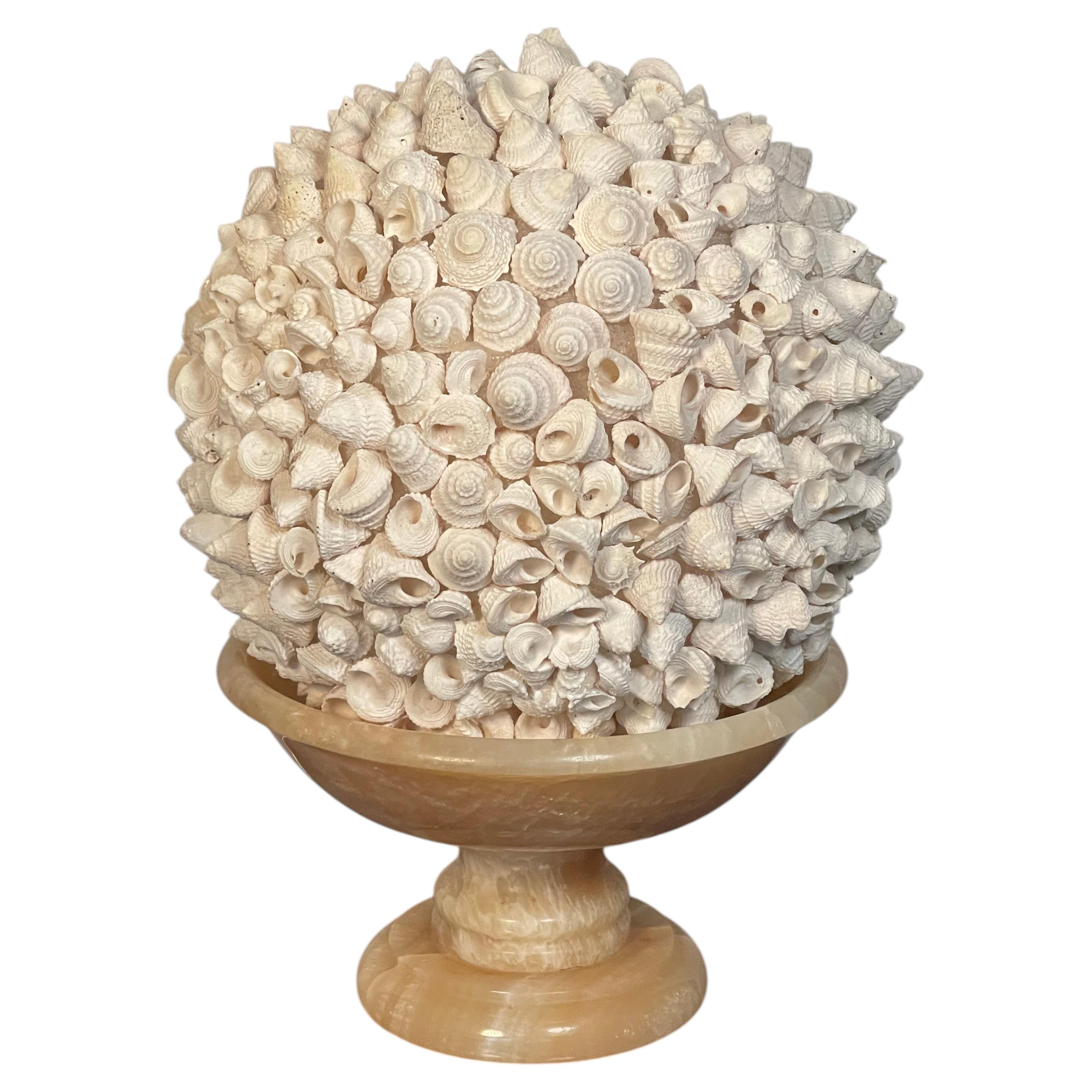 Large Sea Shell Glibe in Italian Onyx Tazza