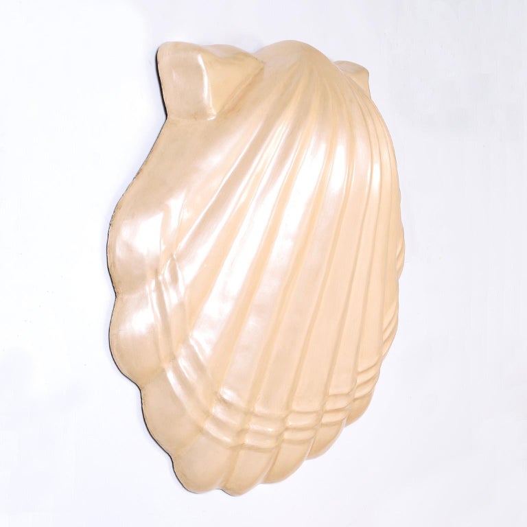 Large Seashell Wall Sculpture For Sale at 1stDibs