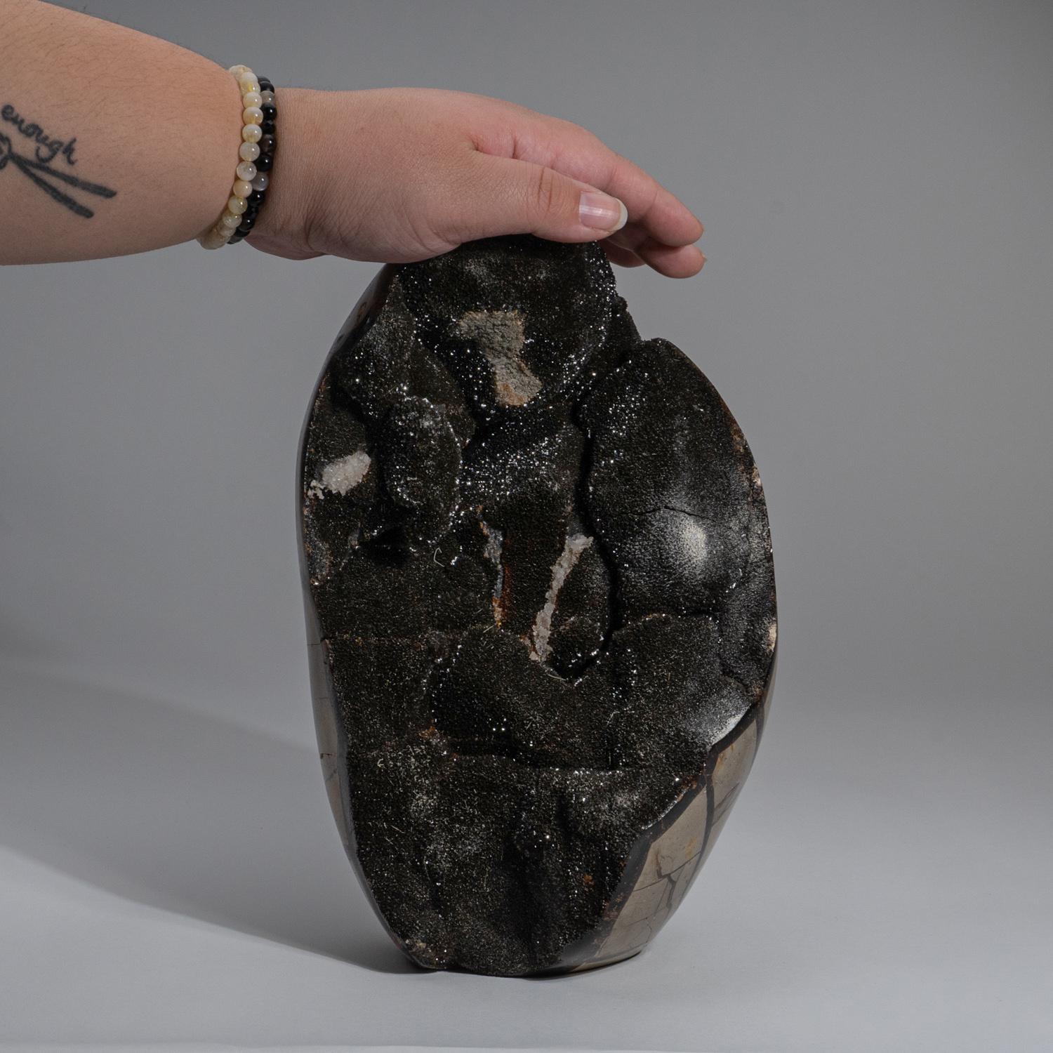 Malagasy Large Septarian Druzy Geode Egg from Madagascar (13.6 lbs) For Sale