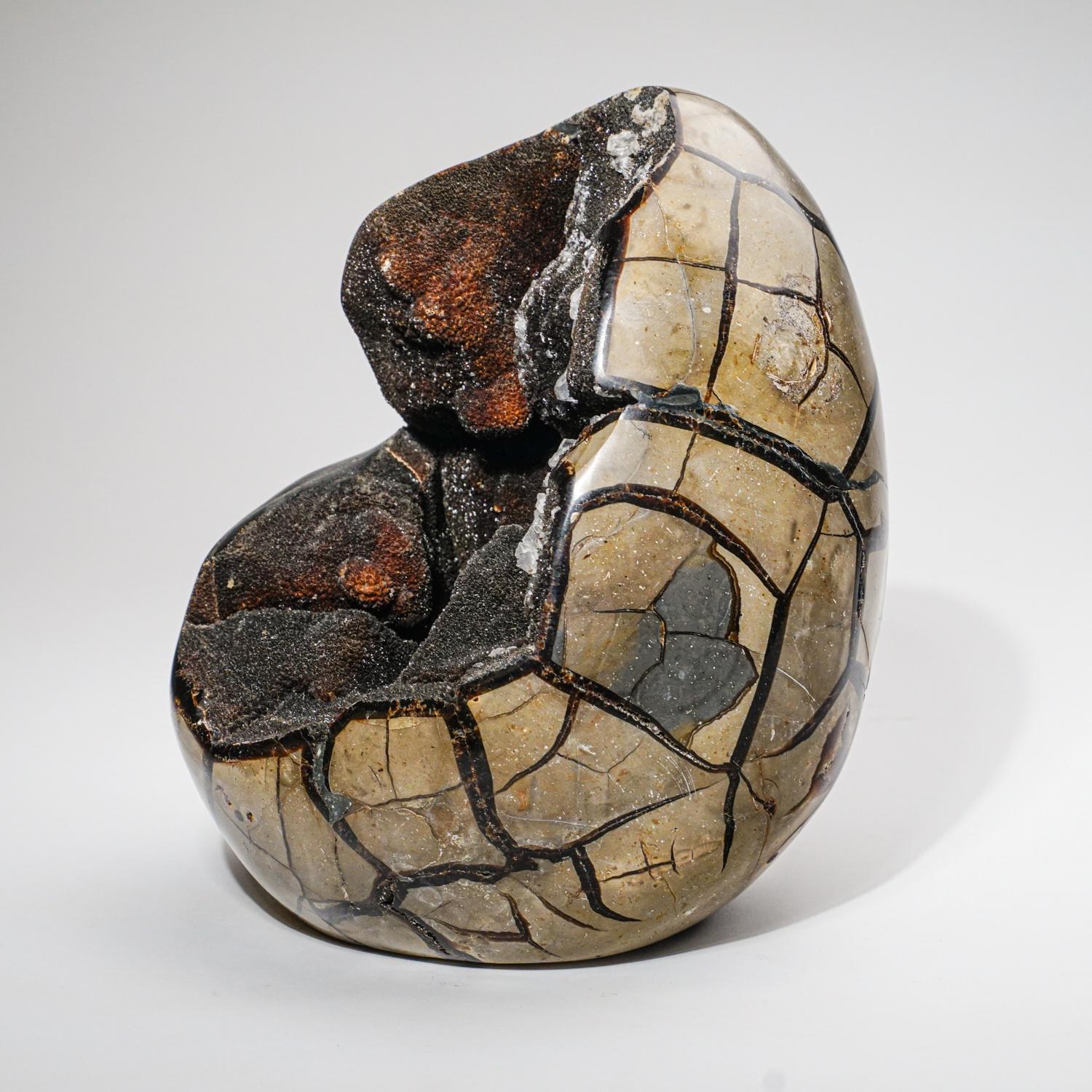 Large Septarian Druzy Geode Egg from Madagascar (13.6 lbs) In New Condition For Sale In New York, NY