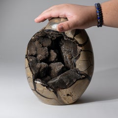 Large Septarian Druzy Geode Egg from Madagascar (14.4 lbs)