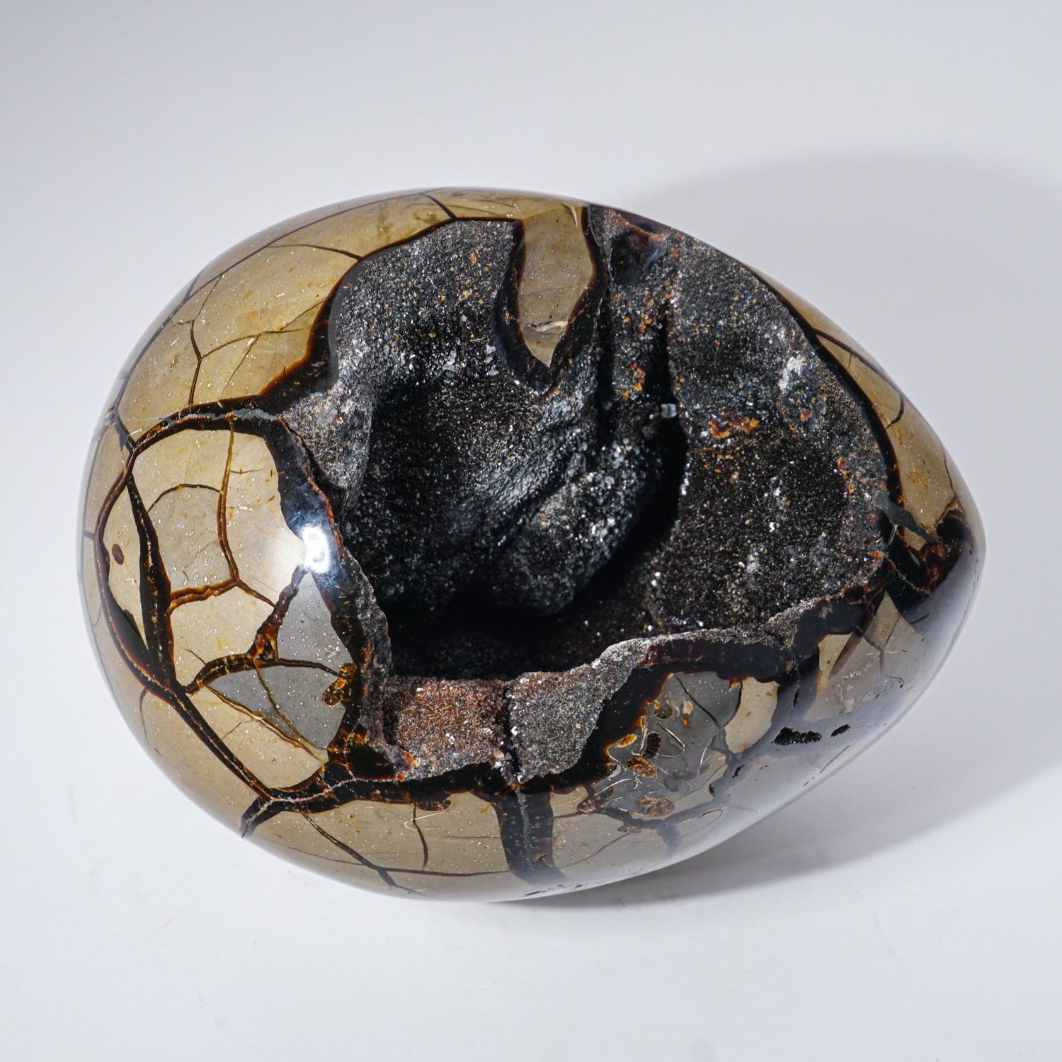 Large Septarian Druzy Geode Egg from Madagascar (16 lbs) In New Condition For Sale In New York, NY