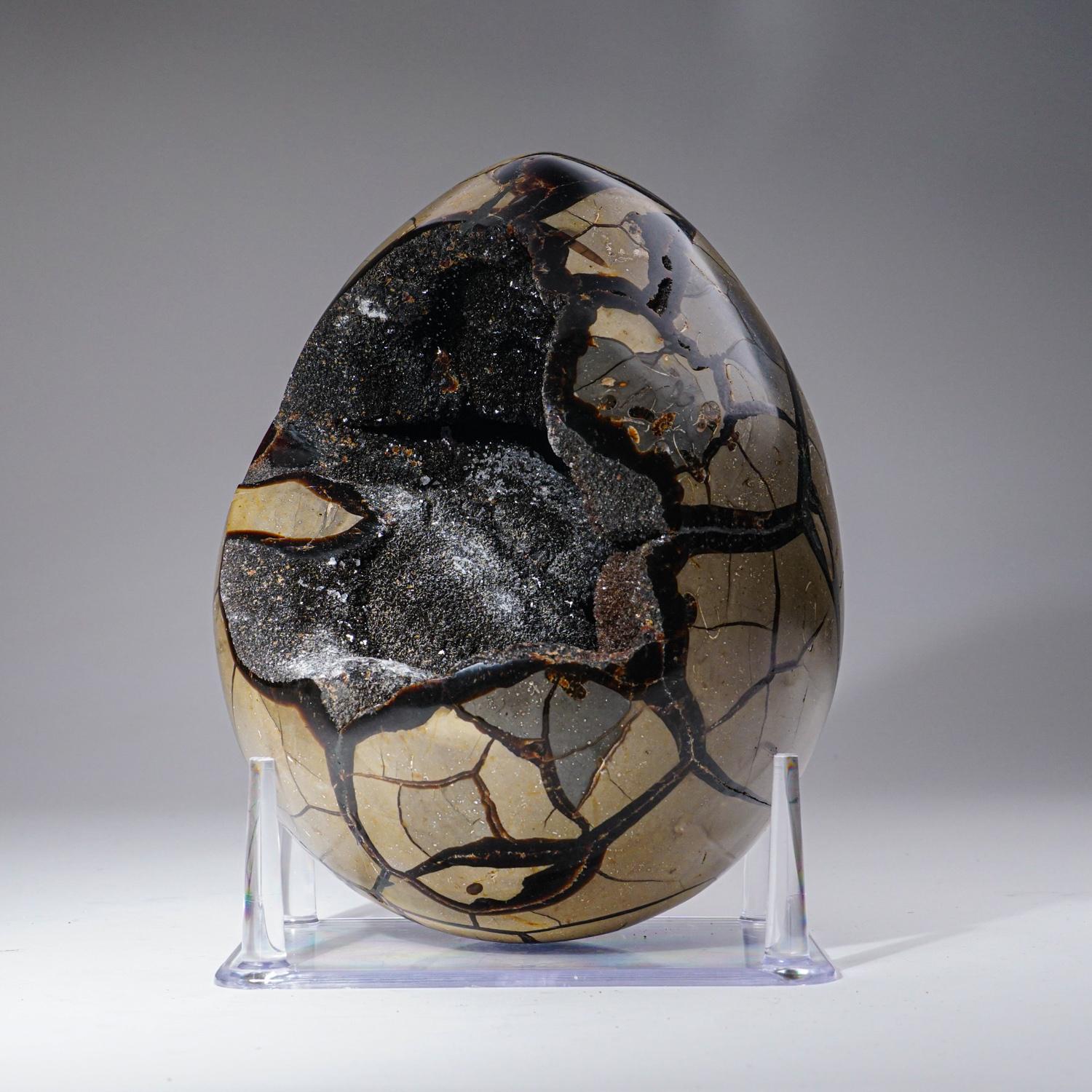 Large Septarian Druzy Geode Egg from Madagascar (16 lbs) For Sale 1