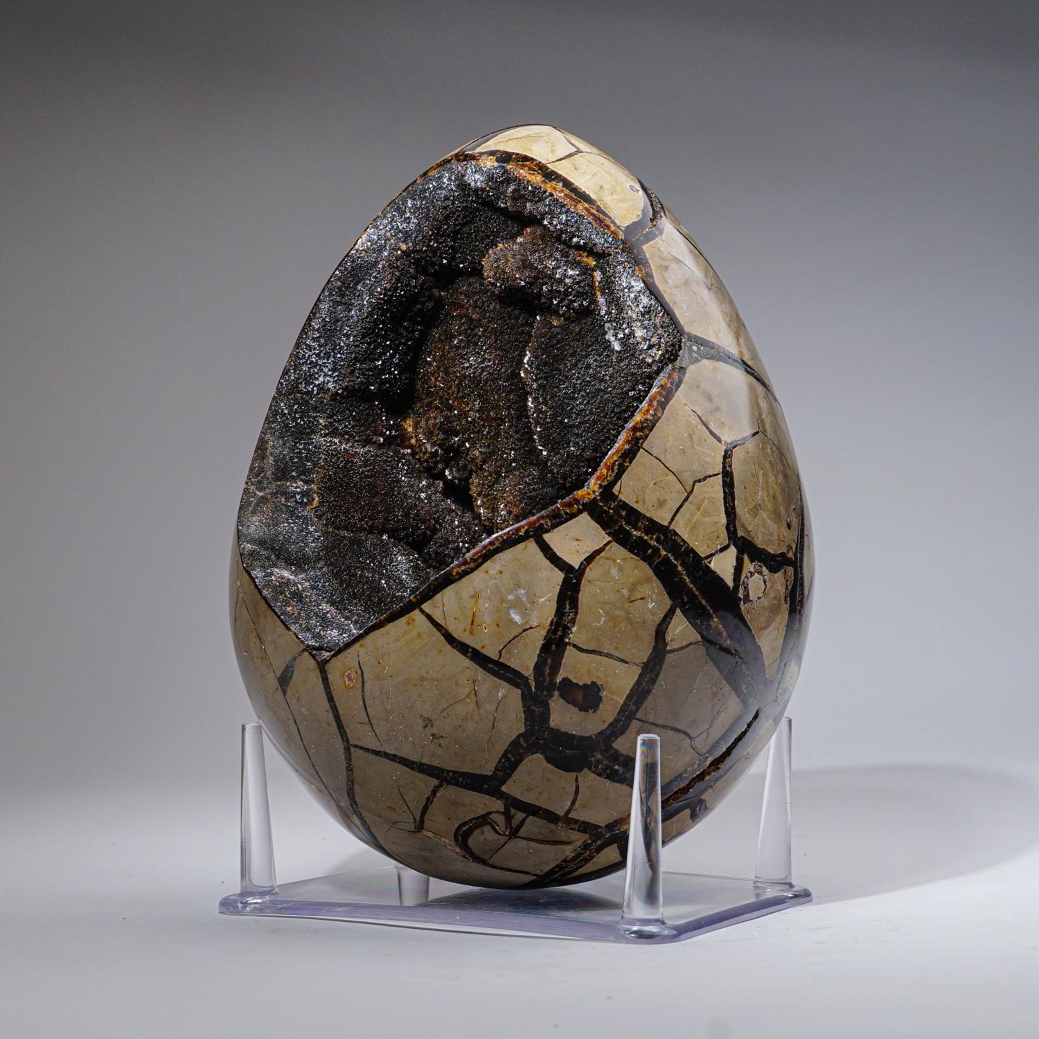 Dieses 19.4 Pfund schwere AAA-Qualität Large Septarian Druzy Geode Egg aus Madagaskar zeichnet sich durch eine exponierte Fläche aus, die mit schillernden Druzy-Quarzkristallen ausgekleidet ist, sowie durch eine polierte Rückseite, die eine stark