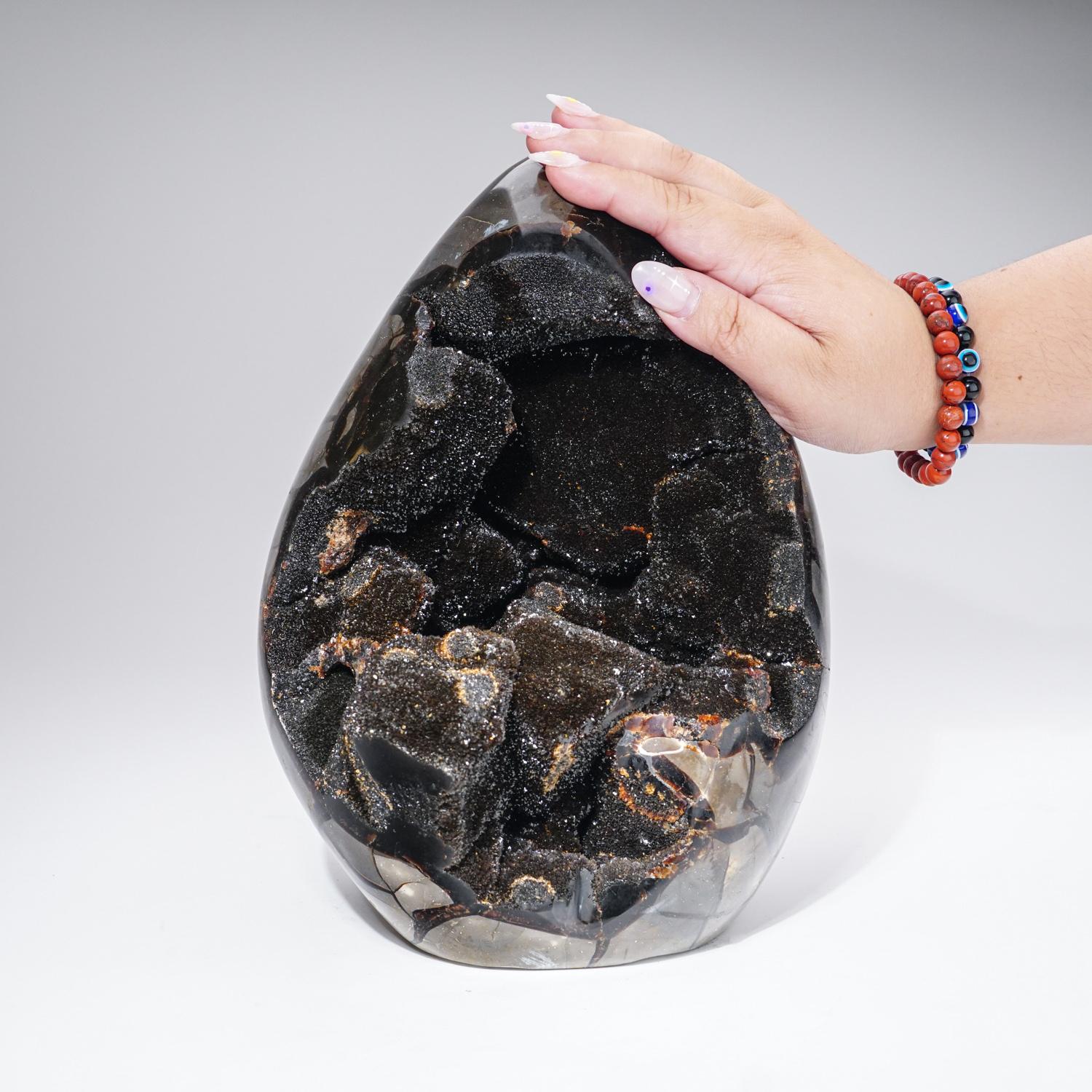 Malagasy Large Septarian Druzy Geode Egg from Madagascar (20 lbs) For Sale