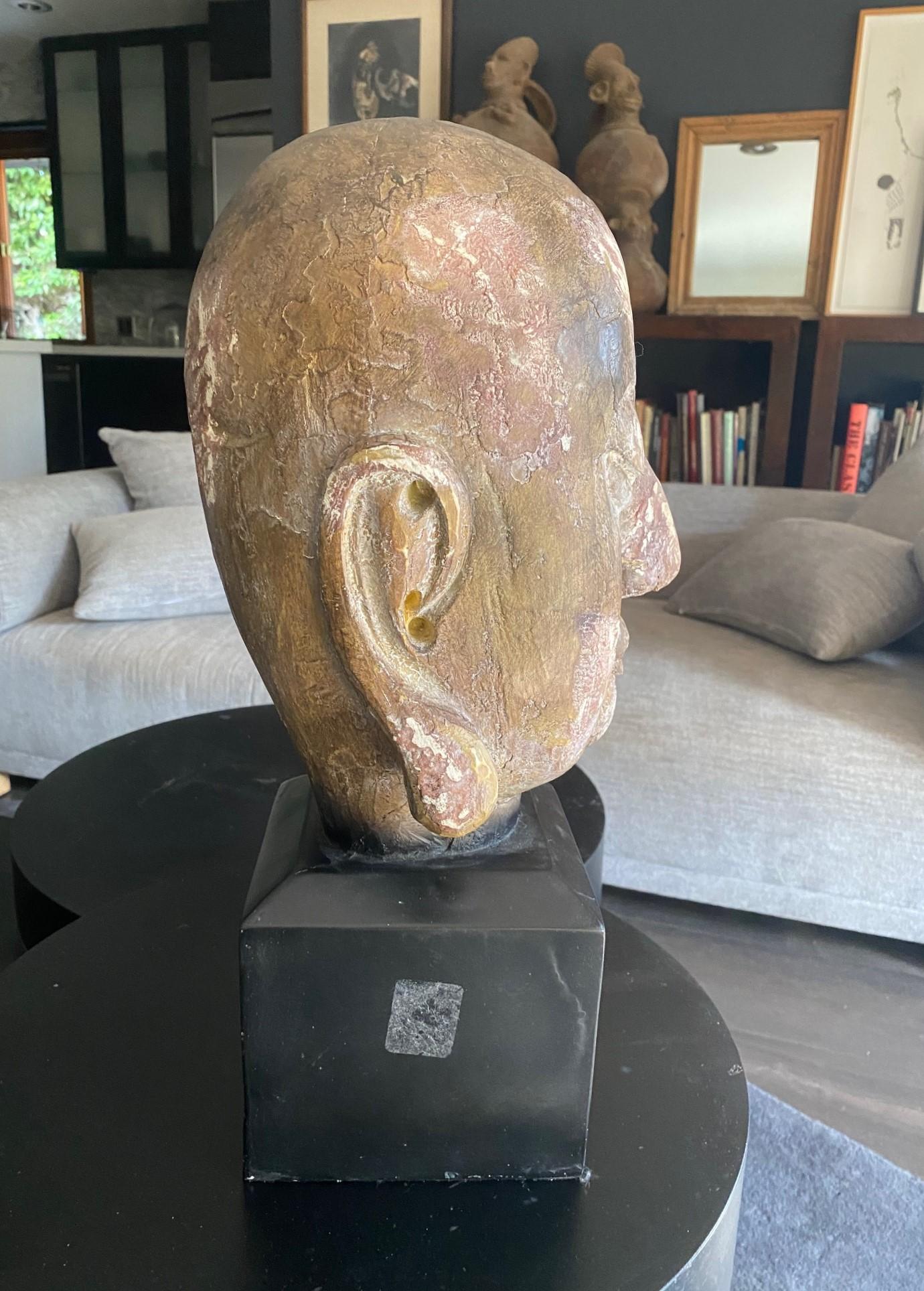 Gran Busto Asiático Sereno de Cabeza de Buda Tallada en Madera sobre Soporte de Exhibición en venta 5