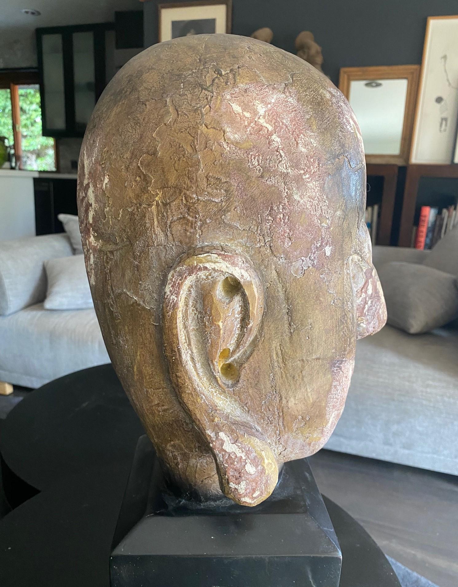 Gran Busto Asiático Sereno de Cabeza de Buda Tallada en Madera sobre Soporte de Exhibición en venta 6