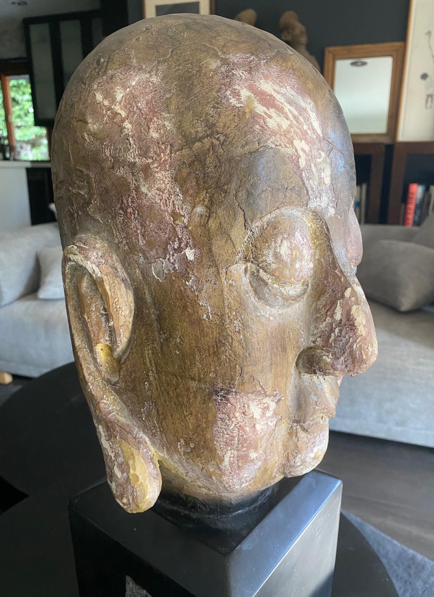 Gran Busto Asiático Sereno de Cabeza de Buda Tallada en Madera sobre Soporte de Exhibición en venta 8