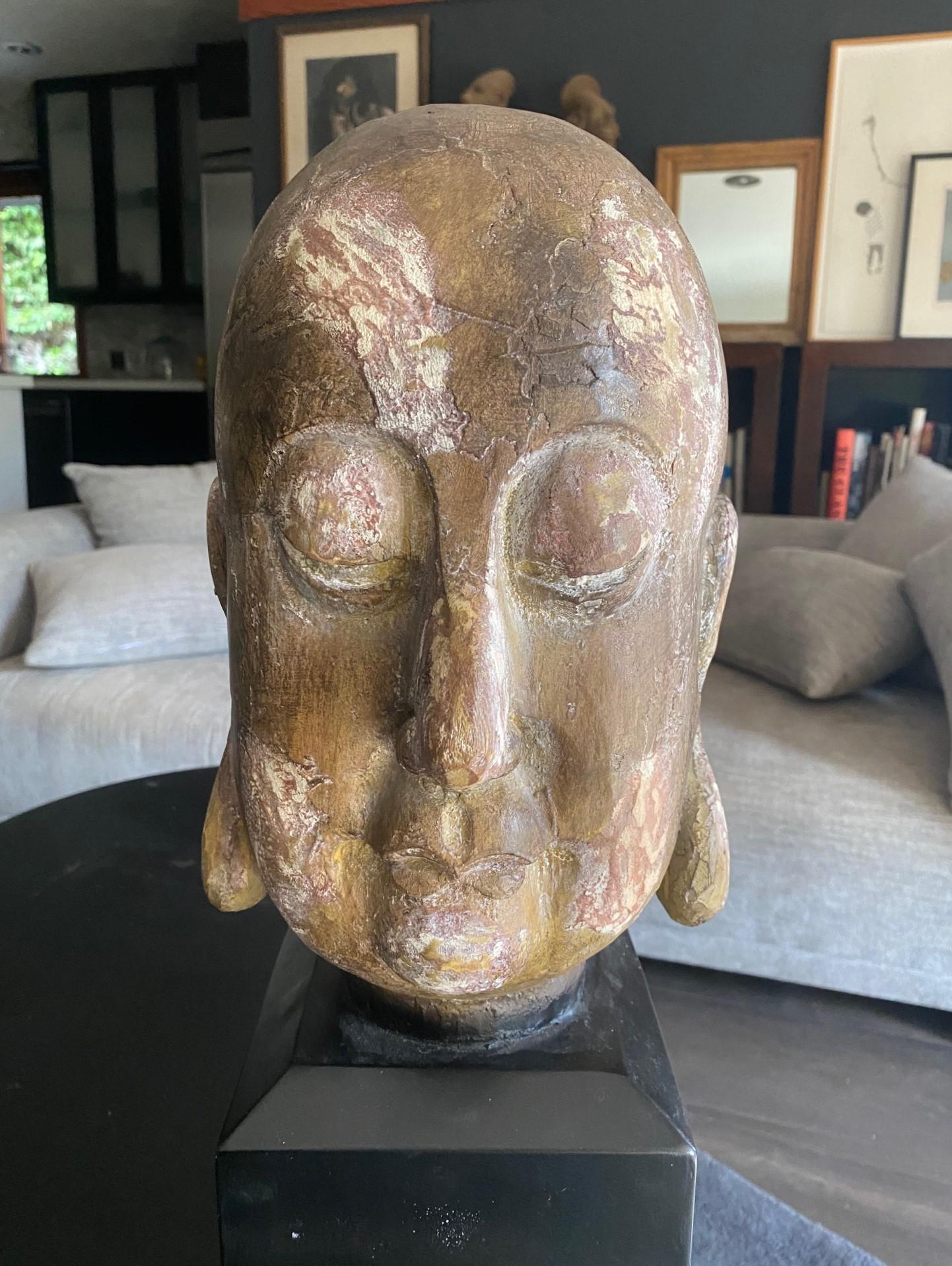 Maravillosa cabeza y busto de Buda tallados a mano, con una hermosa pátina y una pigmentación policroma desvaída.  El rostro de Buda refleja una expresión muy serena y satisfecha.  

Sería una llamativa pieza de acento independiente en casi
