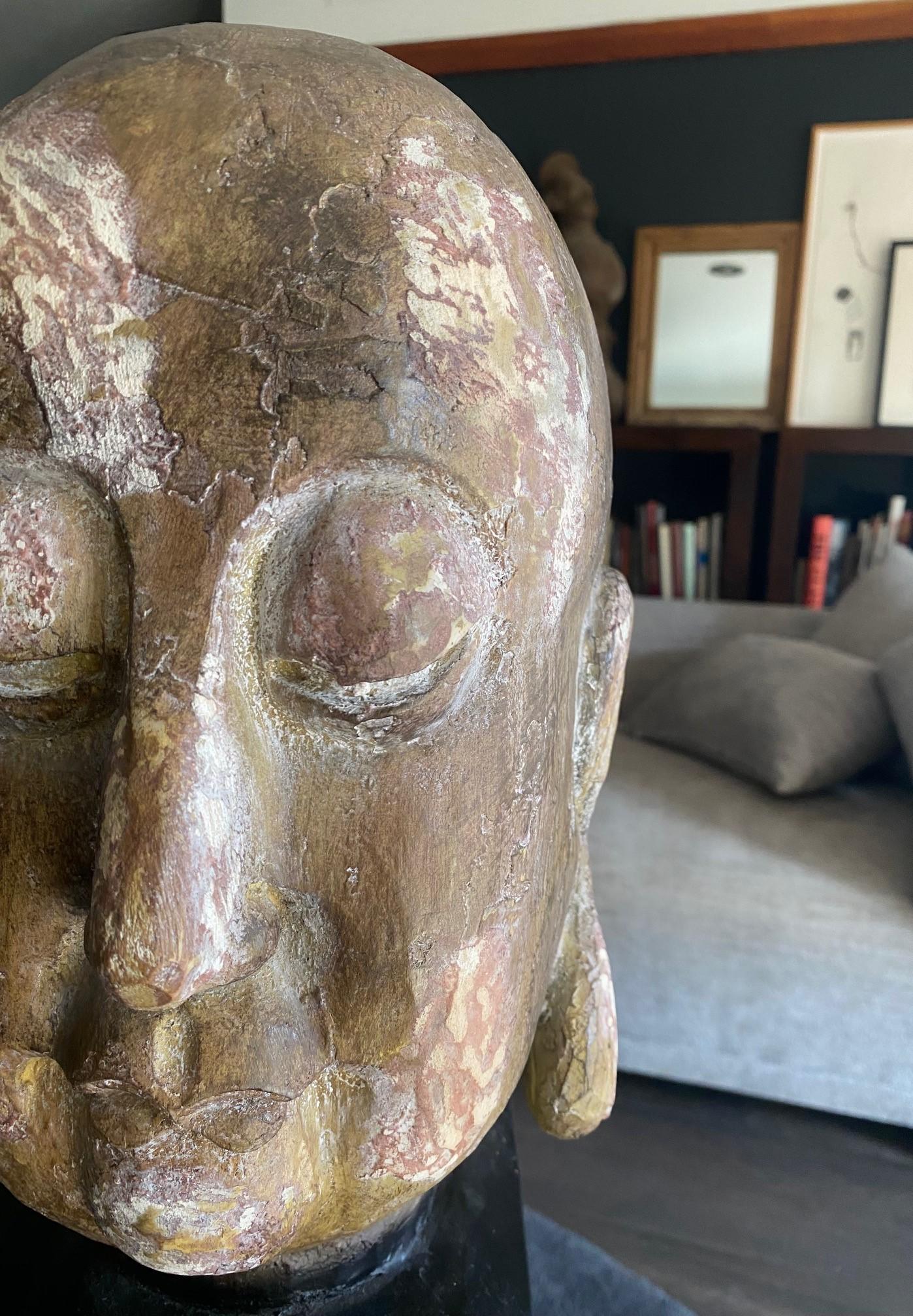Gran Busto Asiático Sereno de Cabeza de Buda Tallada en Madera sobre Soporte de Exhibición Tallado a mano en venta