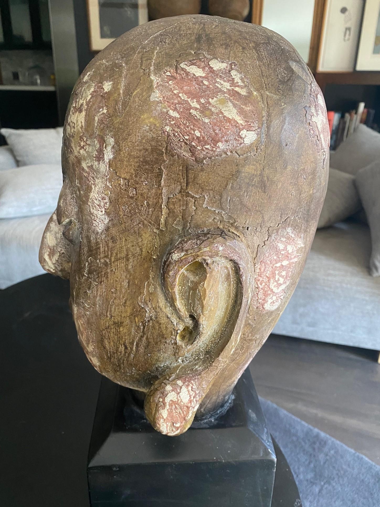 Gran Busto Asiático Sereno de Cabeza de Buda Tallada en Madera sobre Soporte de Exhibición en venta 3