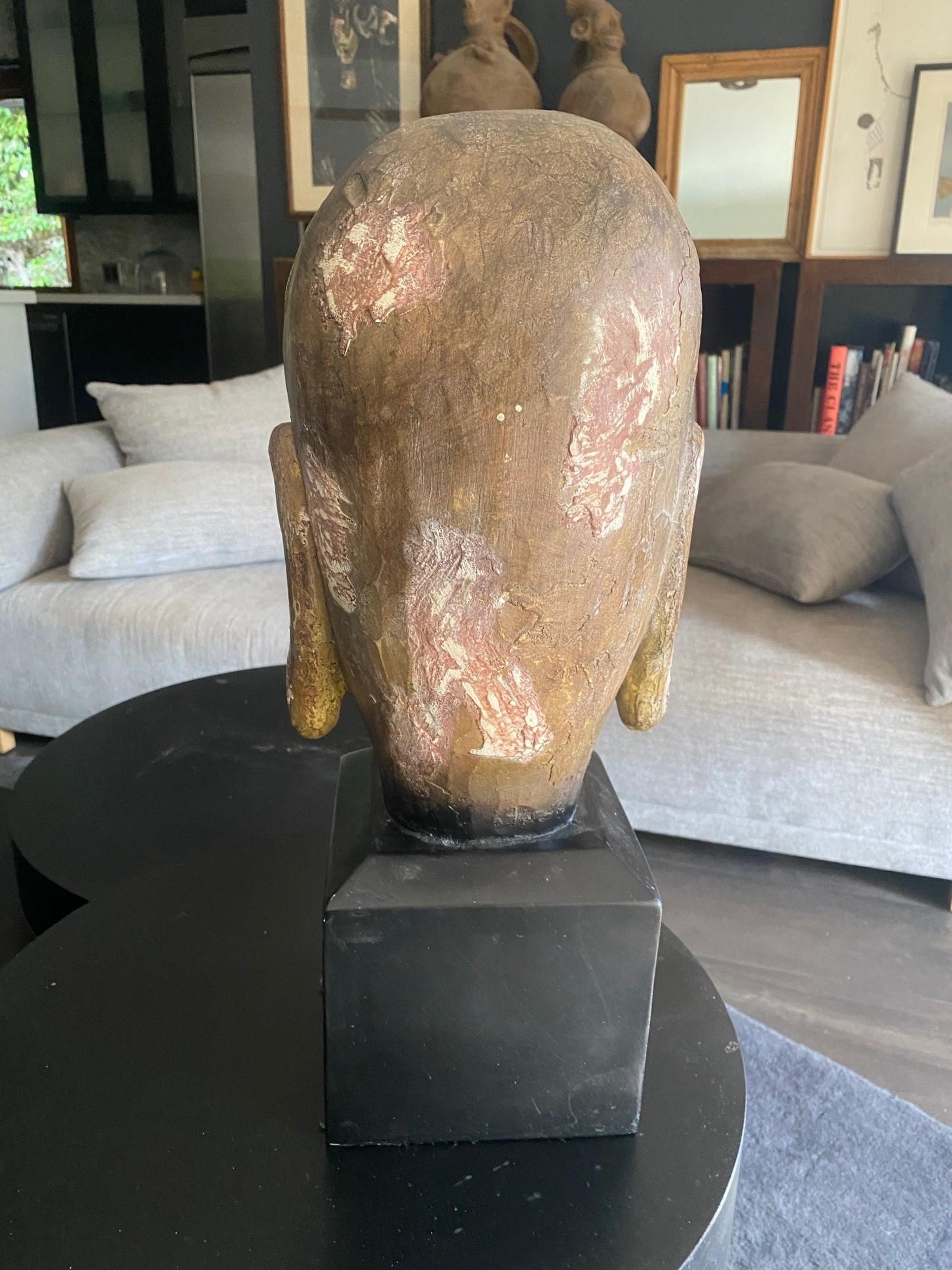 Gran Busto Asiático Sereno de Cabeza de Buda Tallada en Madera sobre Soporte de Exhibición en venta 4