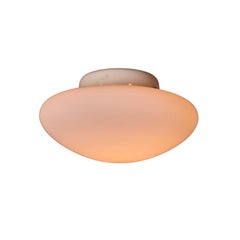 Grande lampada da soffitto "Magnolia" di Sergio Mazza per Quattrifolio, circa 1971