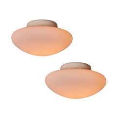 Grande lampada da soffitto "Magnolia" di Sergio Mazza per Quattrifolio, circa 1971