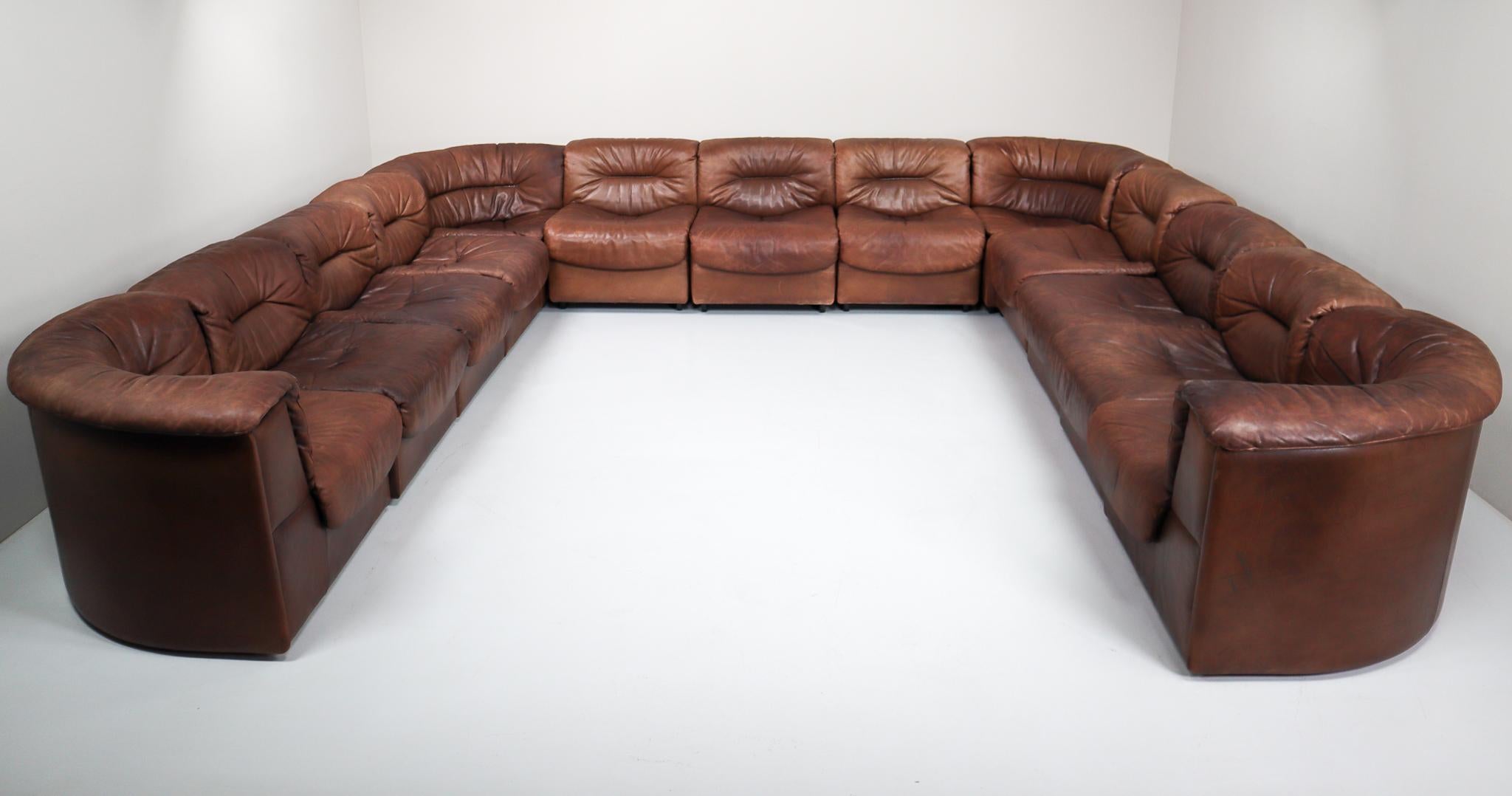 Large Set of 19 Elements Patinated Leather De Sede DS 14 Modular Sofa, 1970s 3