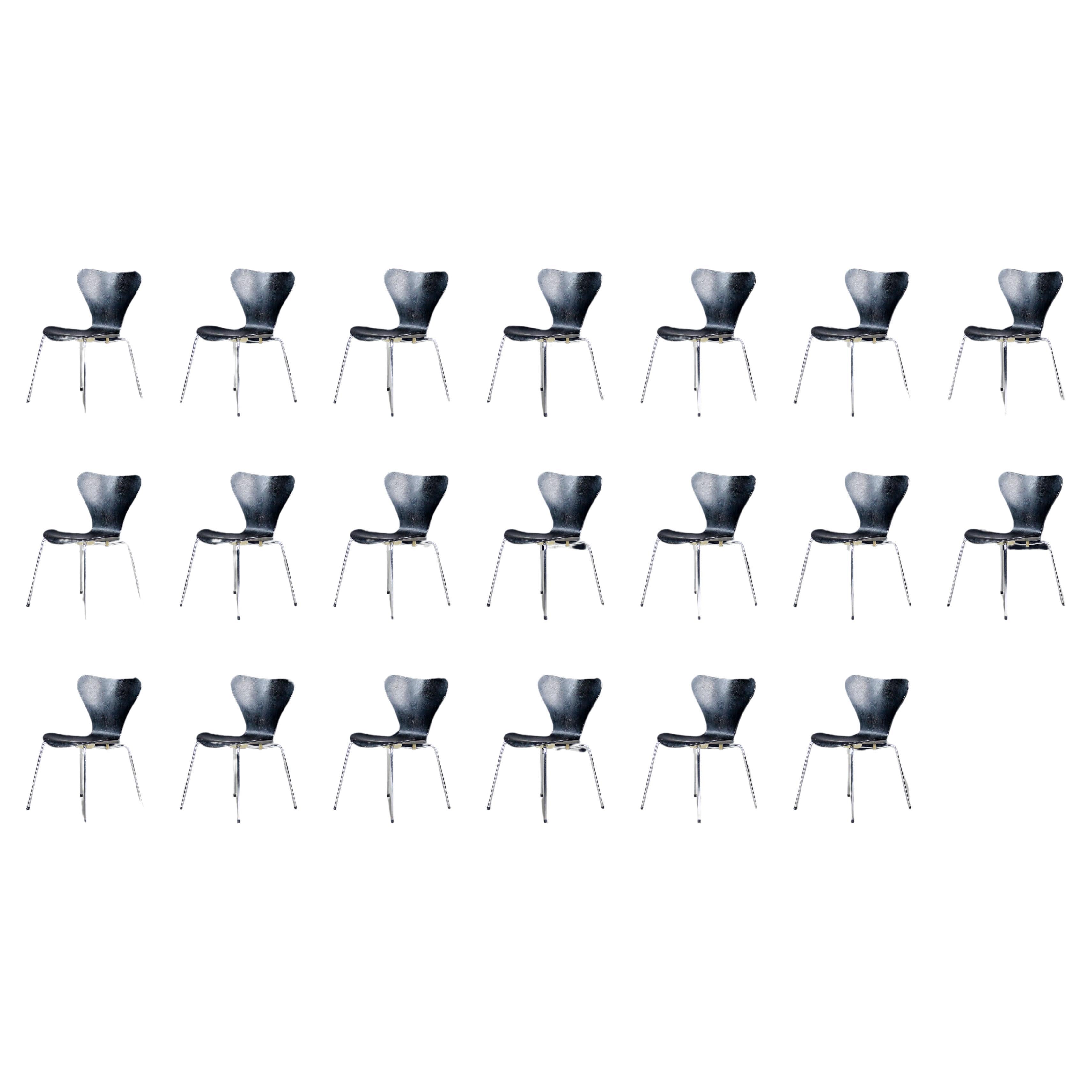 Großer Satz von 20 schwarzen Arne Jacobsen für Fritz Hansen 3107 Serie 7 Esszimmerstühlen