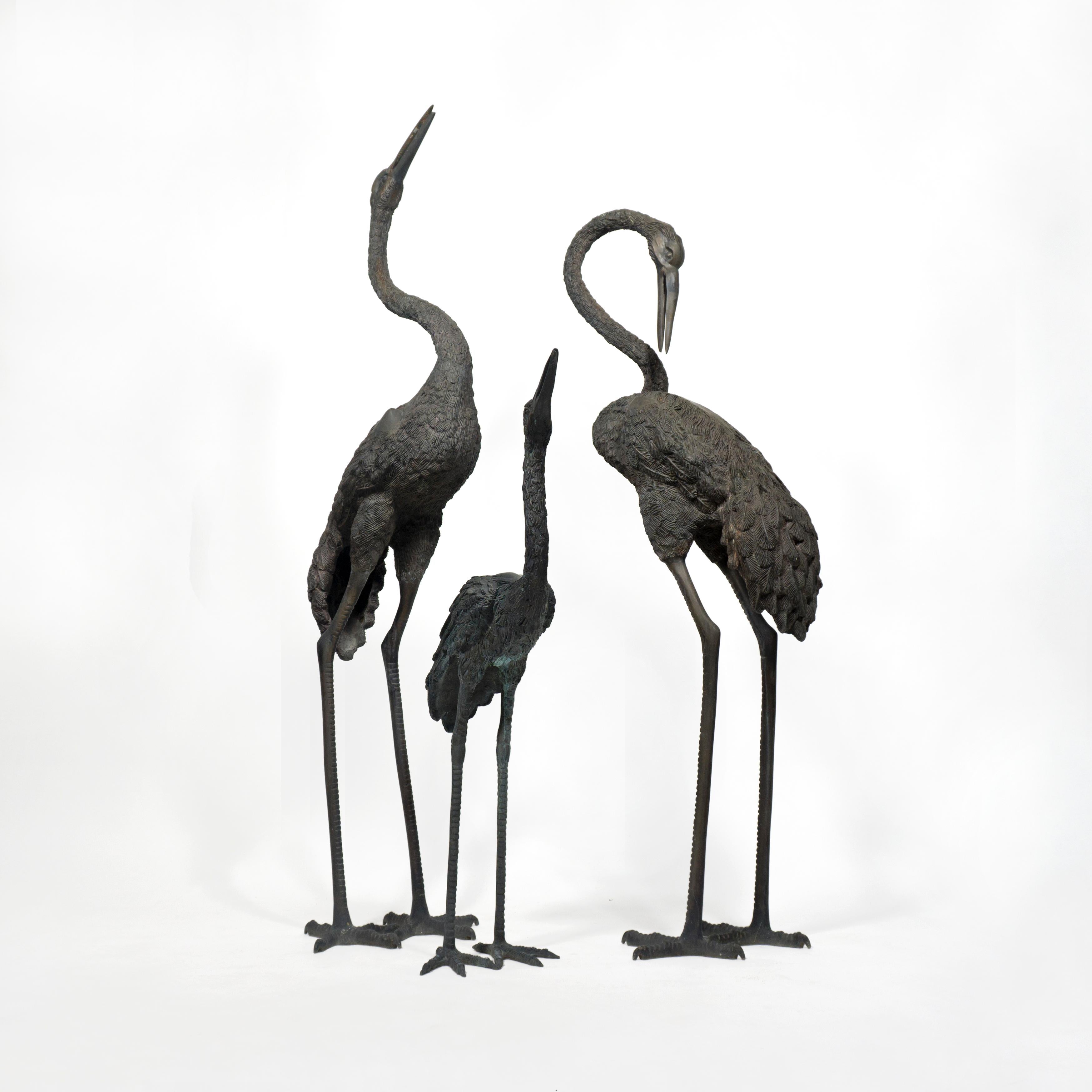 Stunning and very elegant set of 3 heron crane sculptures in bronze. 
The crane family is beautifully cast with lots of details and perfectly refined proportions. 
This gorgous set of standing heron bronze figures revealing a highly detailed
