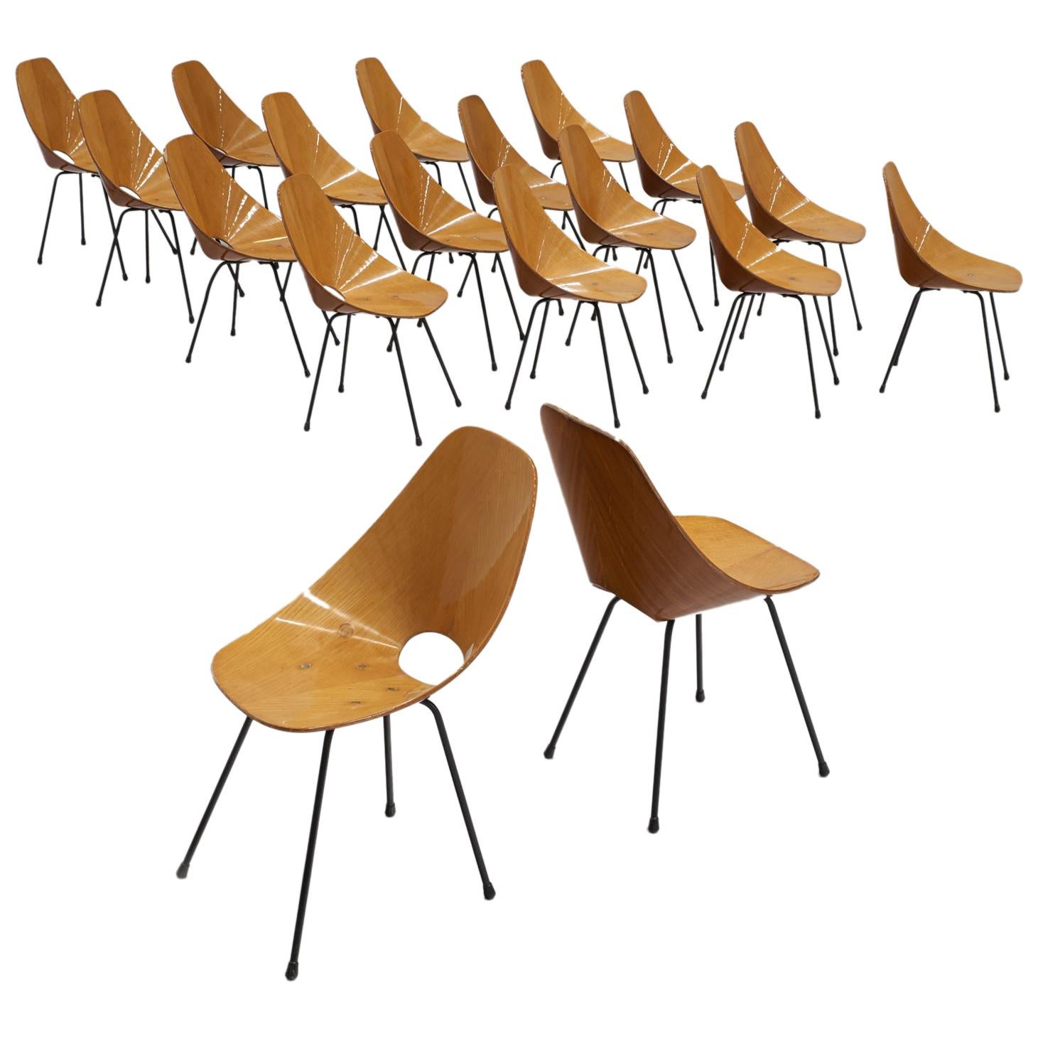 Large Set of Eighteen Duo Tone 'Medea' Dining Chairs by Vittorio Nobili