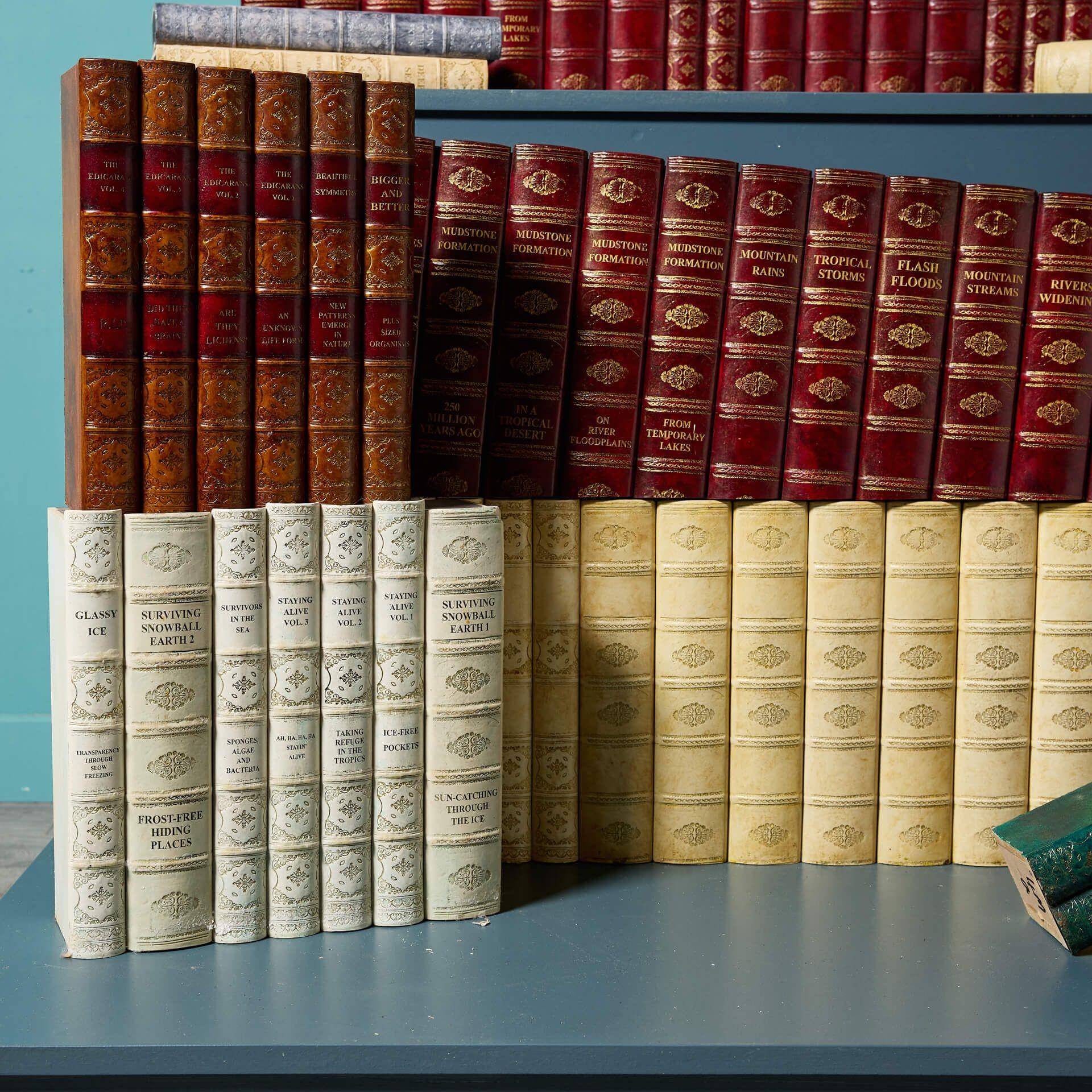 Georgian Large Set of Faux Book Props For Sale