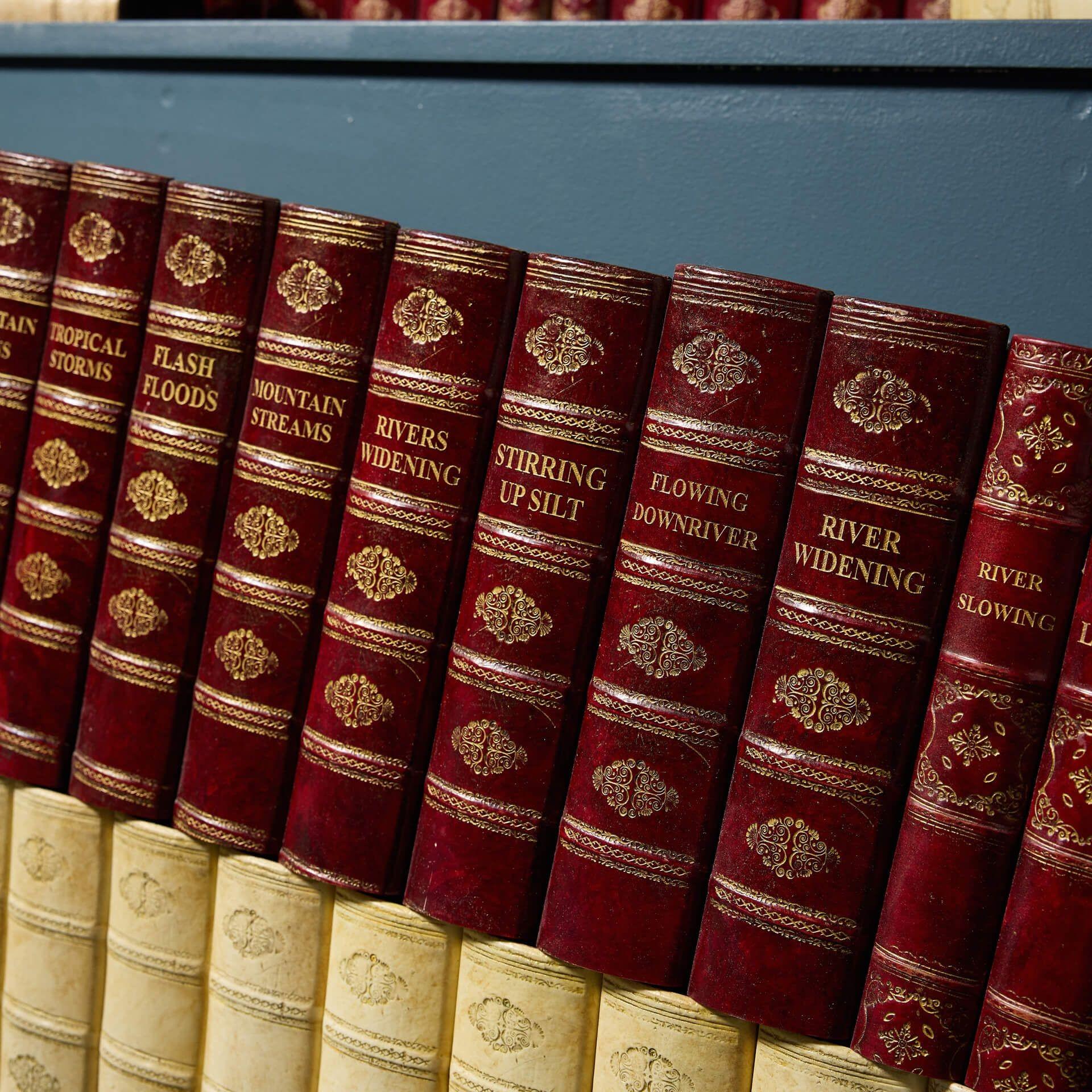 Large Set of Faux Book Props In Fair Condition For Sale In Wormelow, Herefordshire