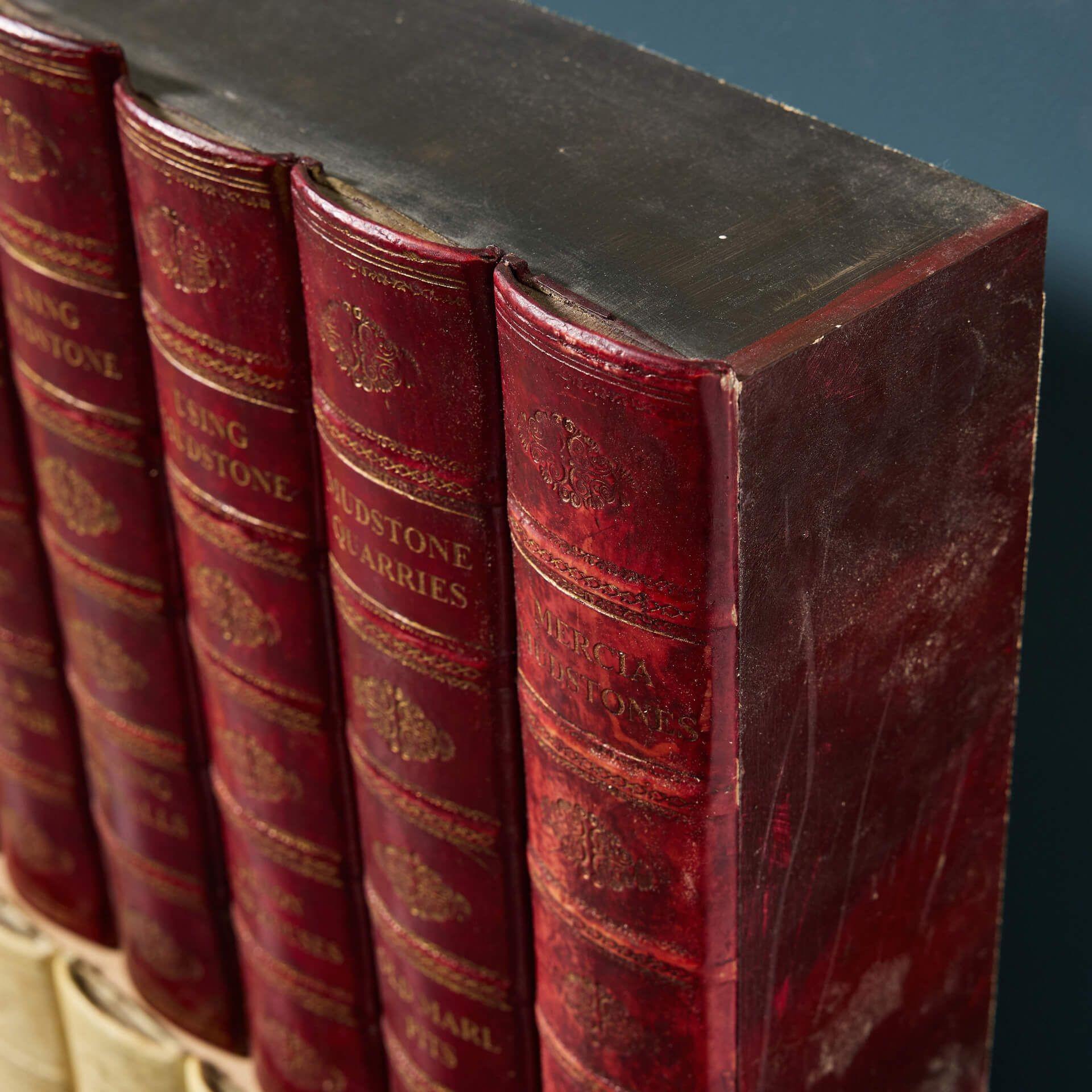 Gran conjunto de libros de biblioteca de imitación recuperados en venta 3
