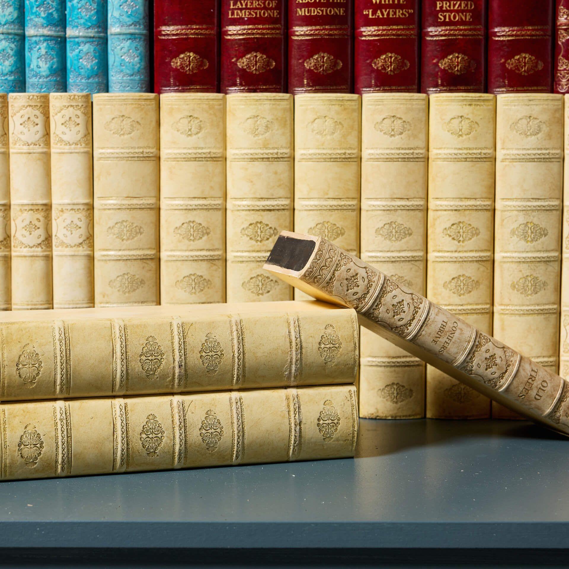Gran conjunto de libros de biblioteca de imitación recuperados Inglés en venta