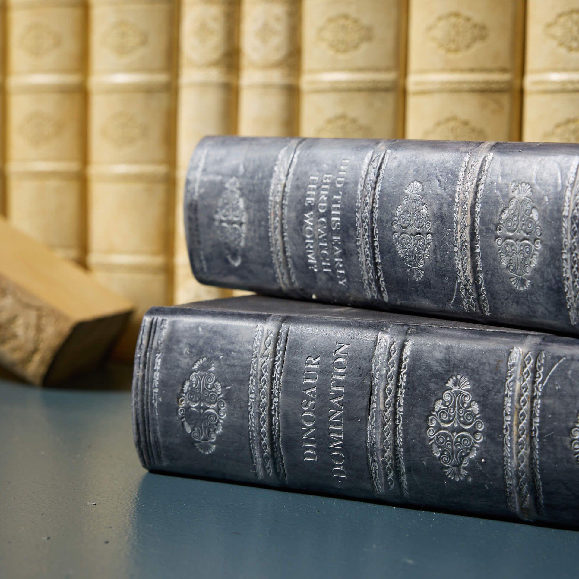 Gran conjunto de libros de biblioteca de imitación recuperados en Bastante bueno estado para la venta en Wormelow, Herefordshire