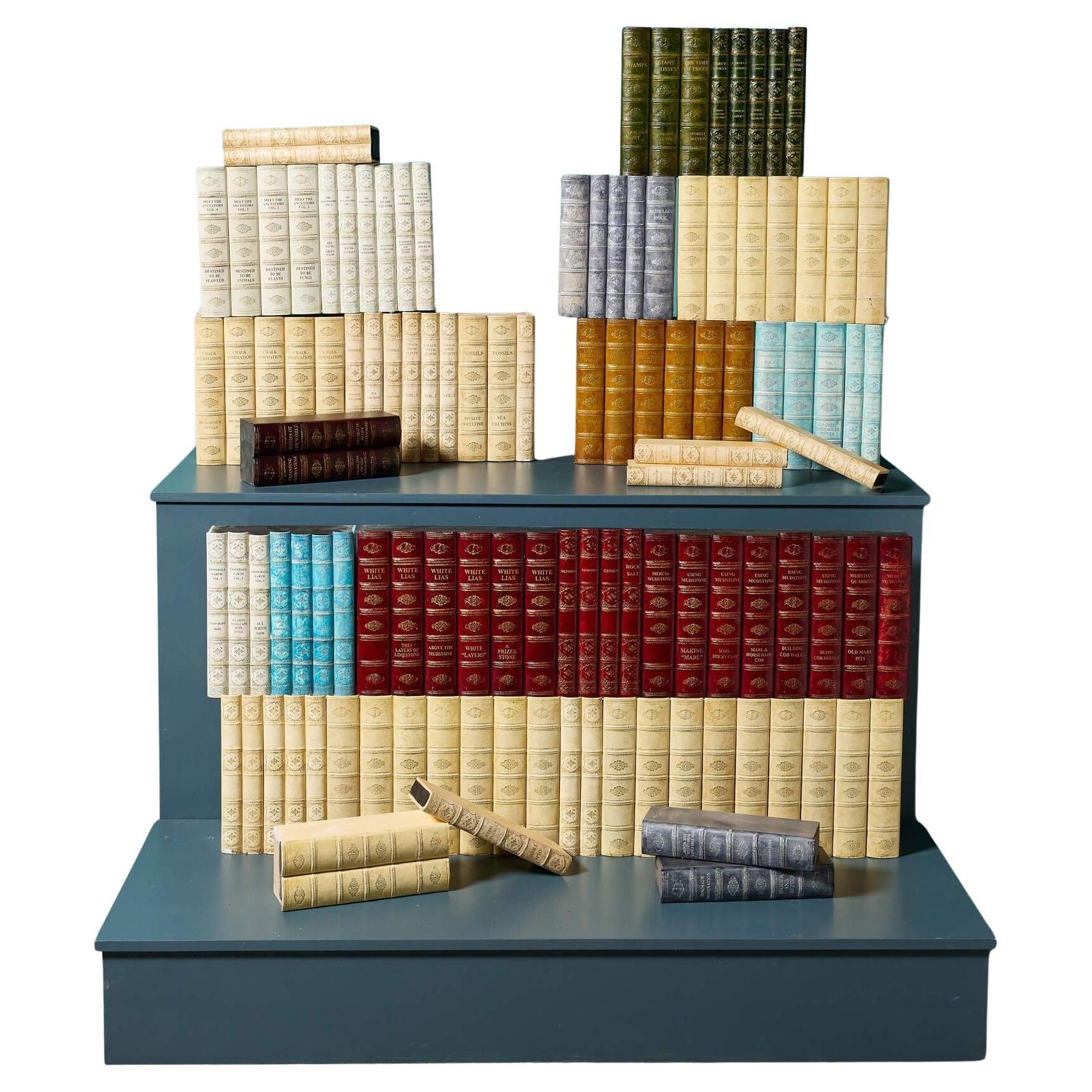Gran conjunto de libros de biblioteca de imitación recuperados en venta