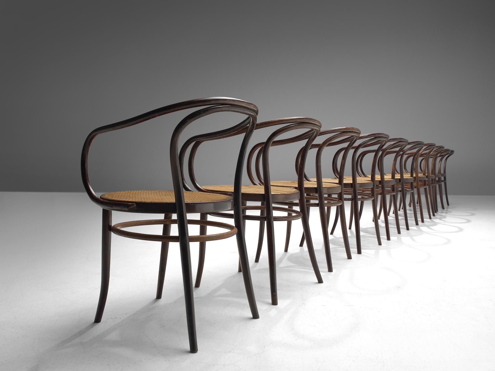 Plastic Large Set of Twenty Bentwood Armchairs by Ton, 1960s