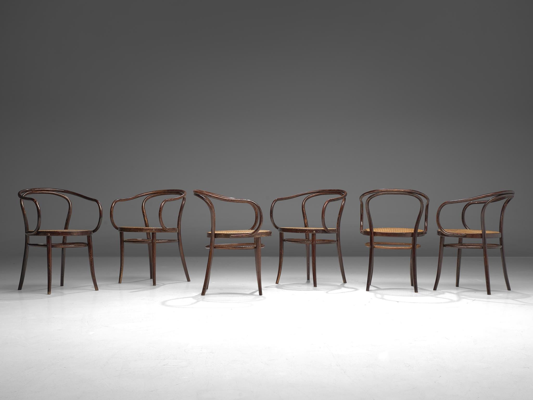 Large Set of Twenty Bentwood Armchairs by Ton, 1960s 1