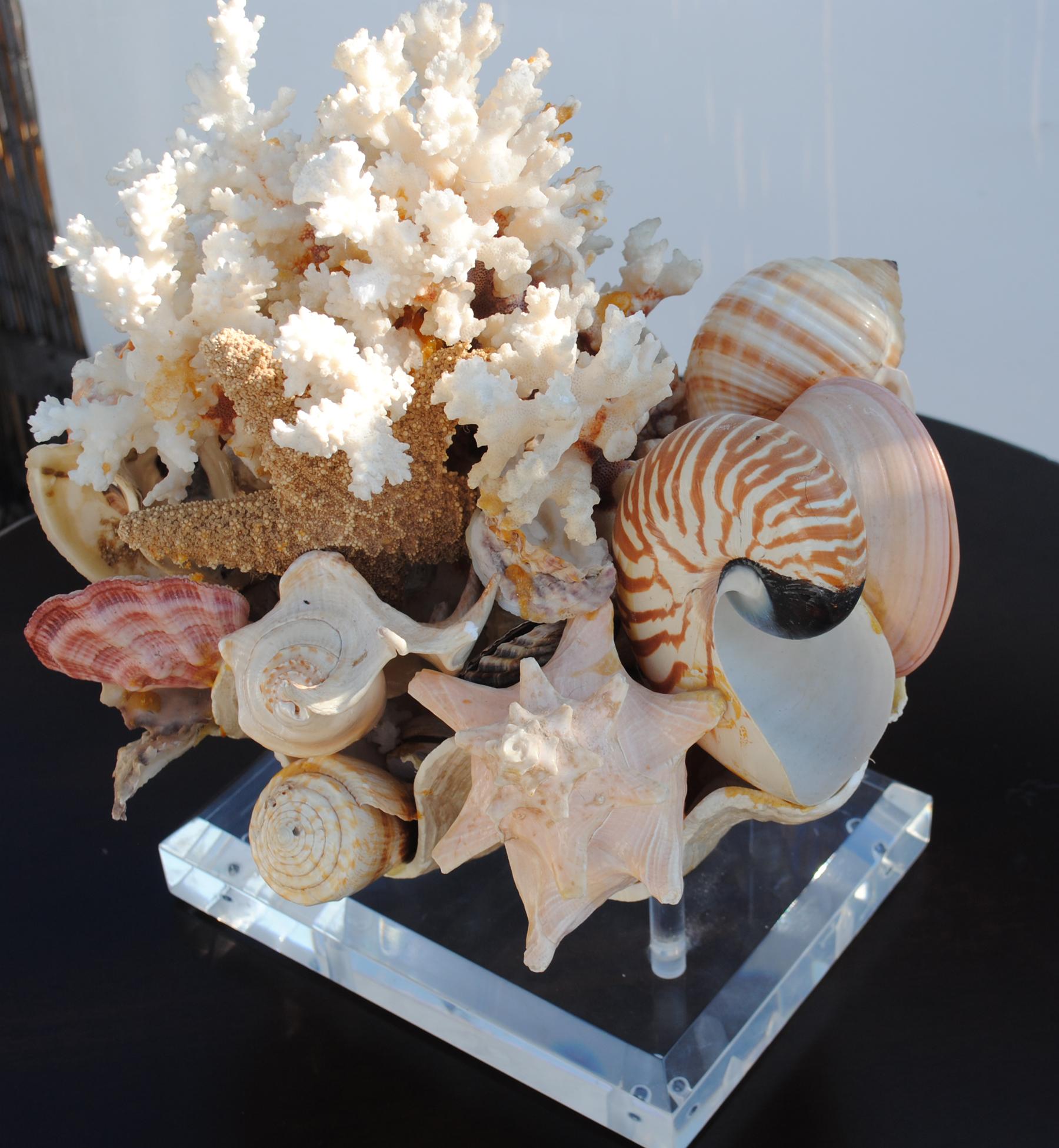 Folk Art Large Shell Arrangement on Lucite Stand Centrepiece