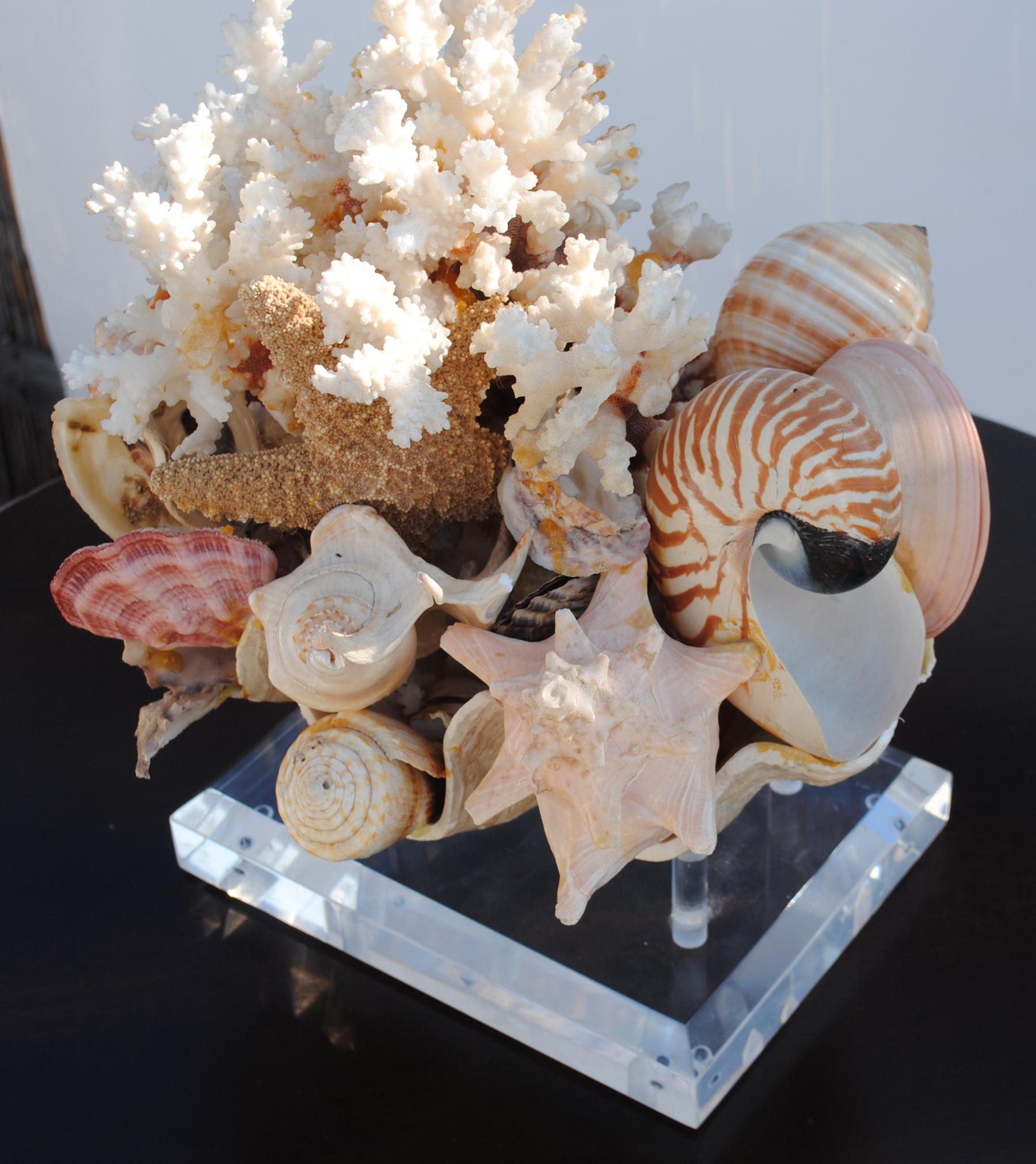 Large Shell Arrangement on Lucite Stand Centrepiece In Good Condition In West Palm Beach, FL