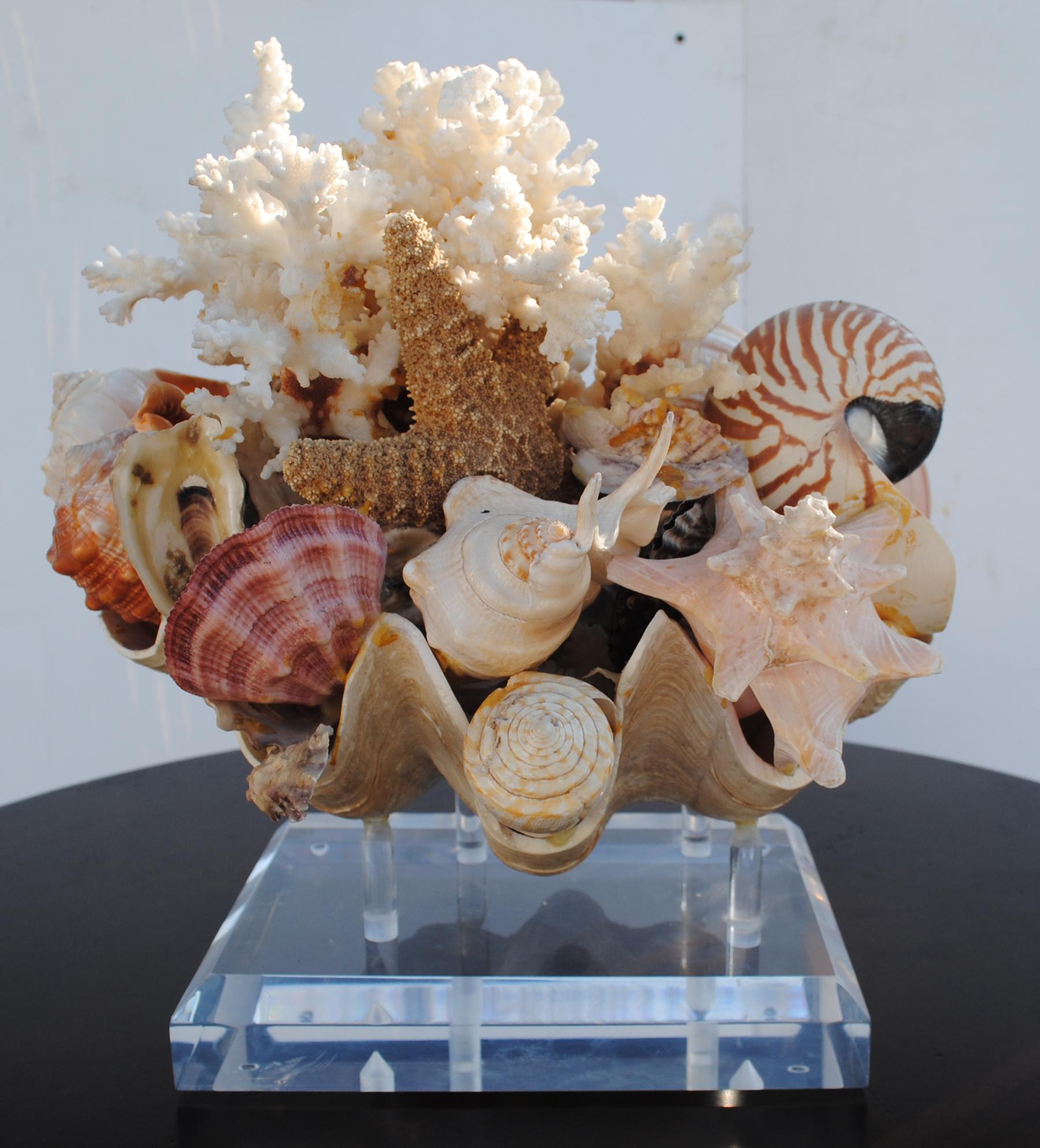 20th Century Large Shell Arrangement on Lucite Stand Centrepiece