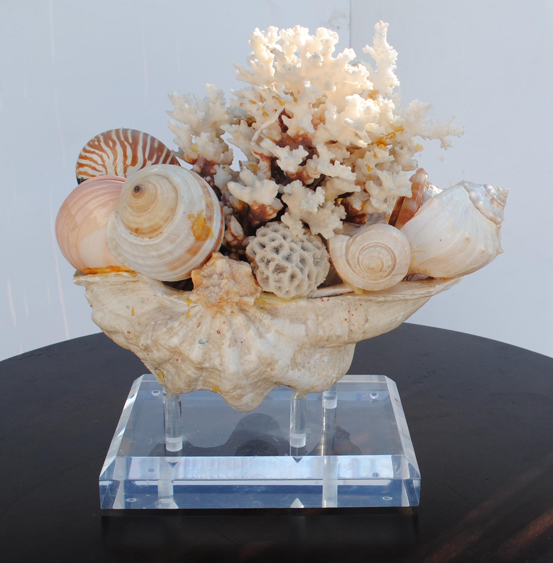 Large Shell Arrangement on Lucite Stand Centrepiece 1