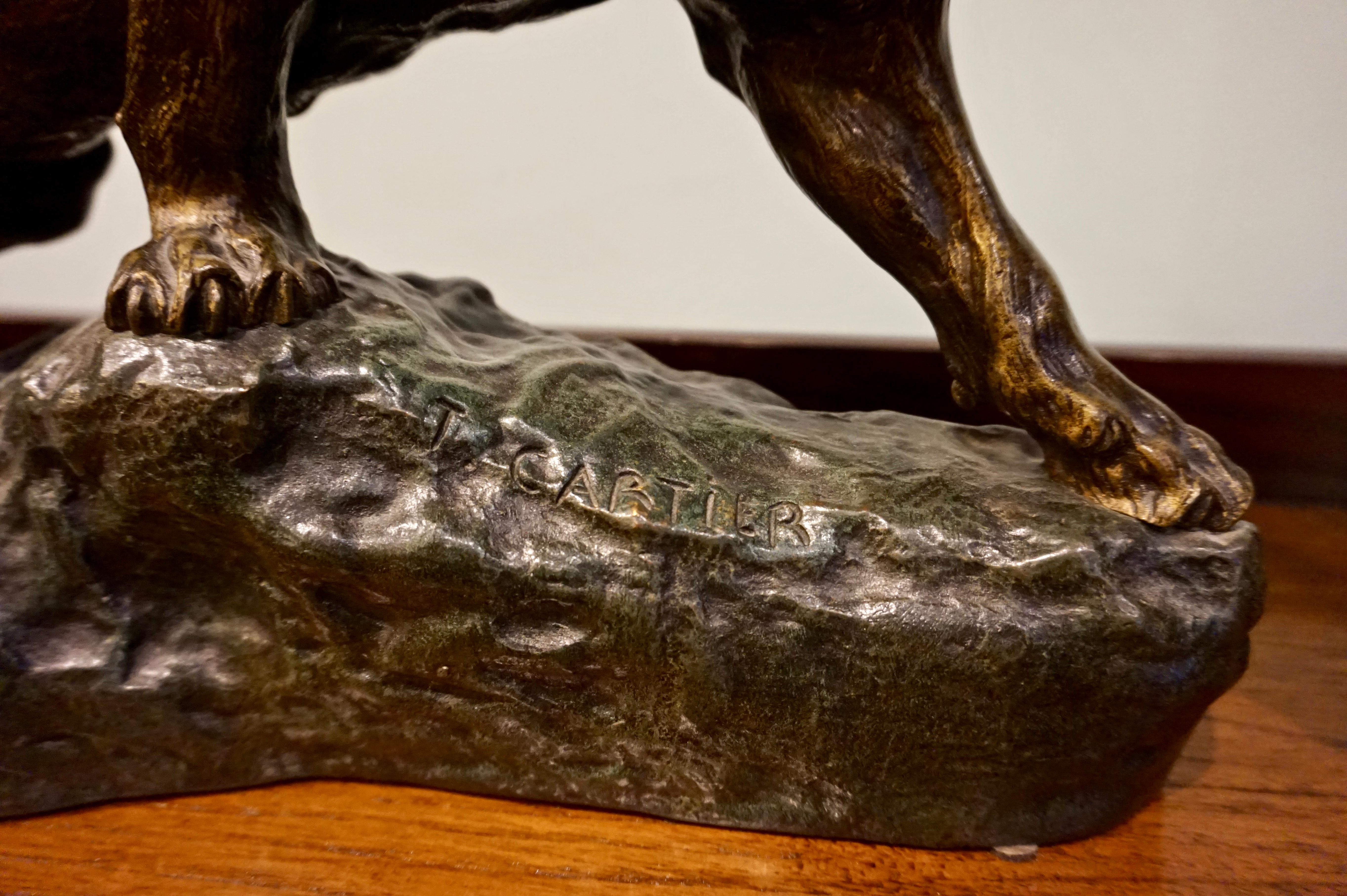 Début du 20ème siècle Grande sculpture de panthère Art déco en bronze signée par Thomas Francois Cartier, France en vente