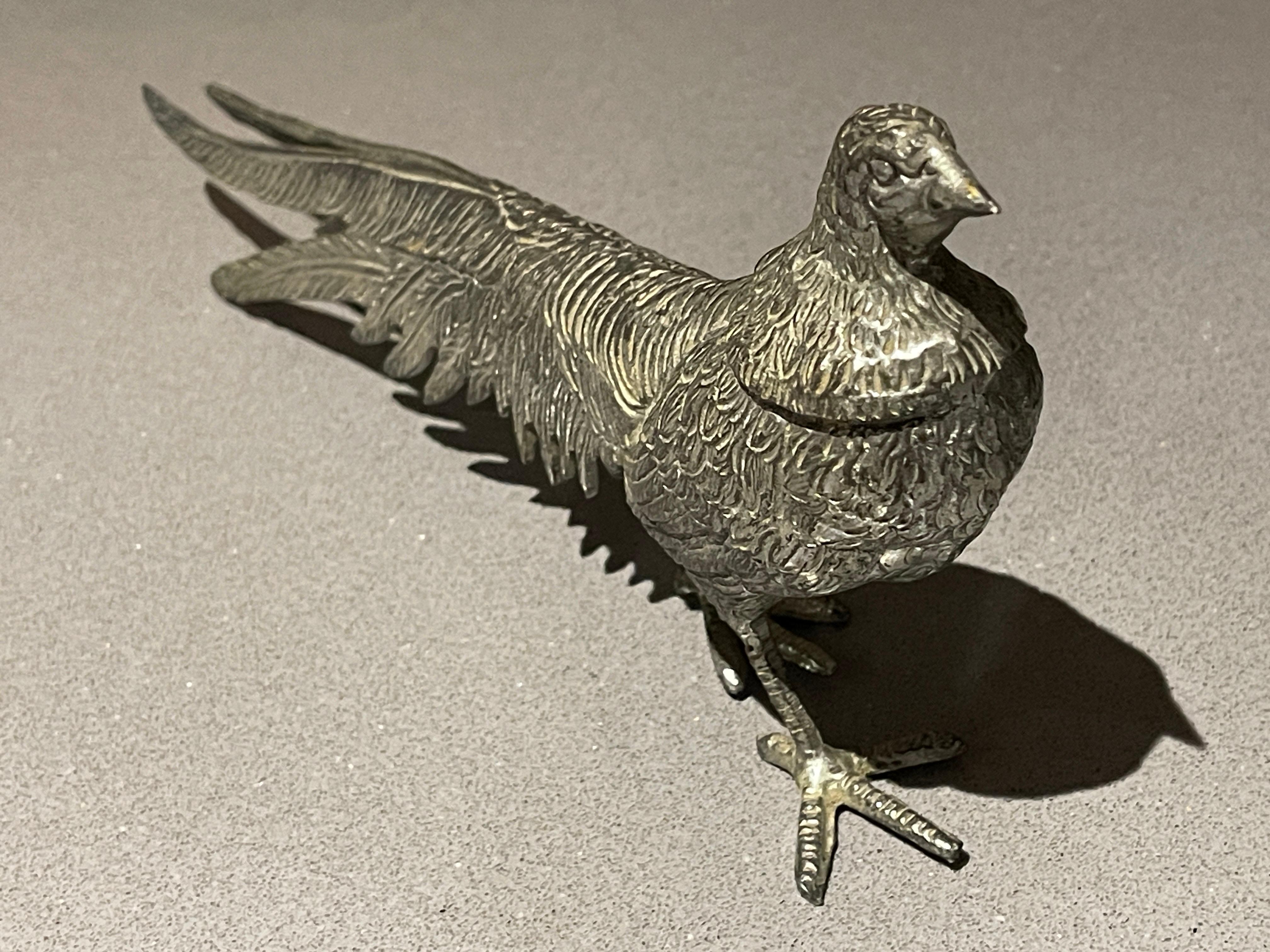silver peacock bird