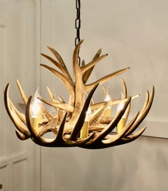 Large Simulated Black Forrest Stag Antler Hanging Chandelier